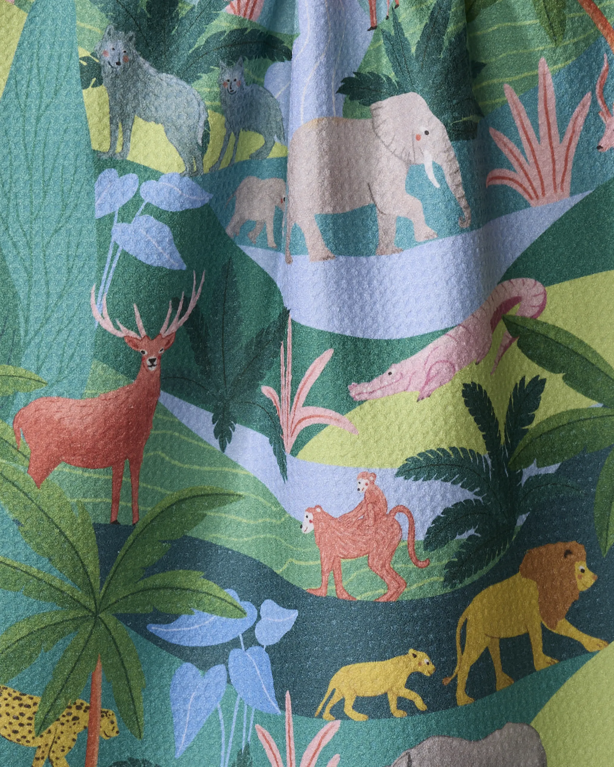 Rain Forest - Image 2