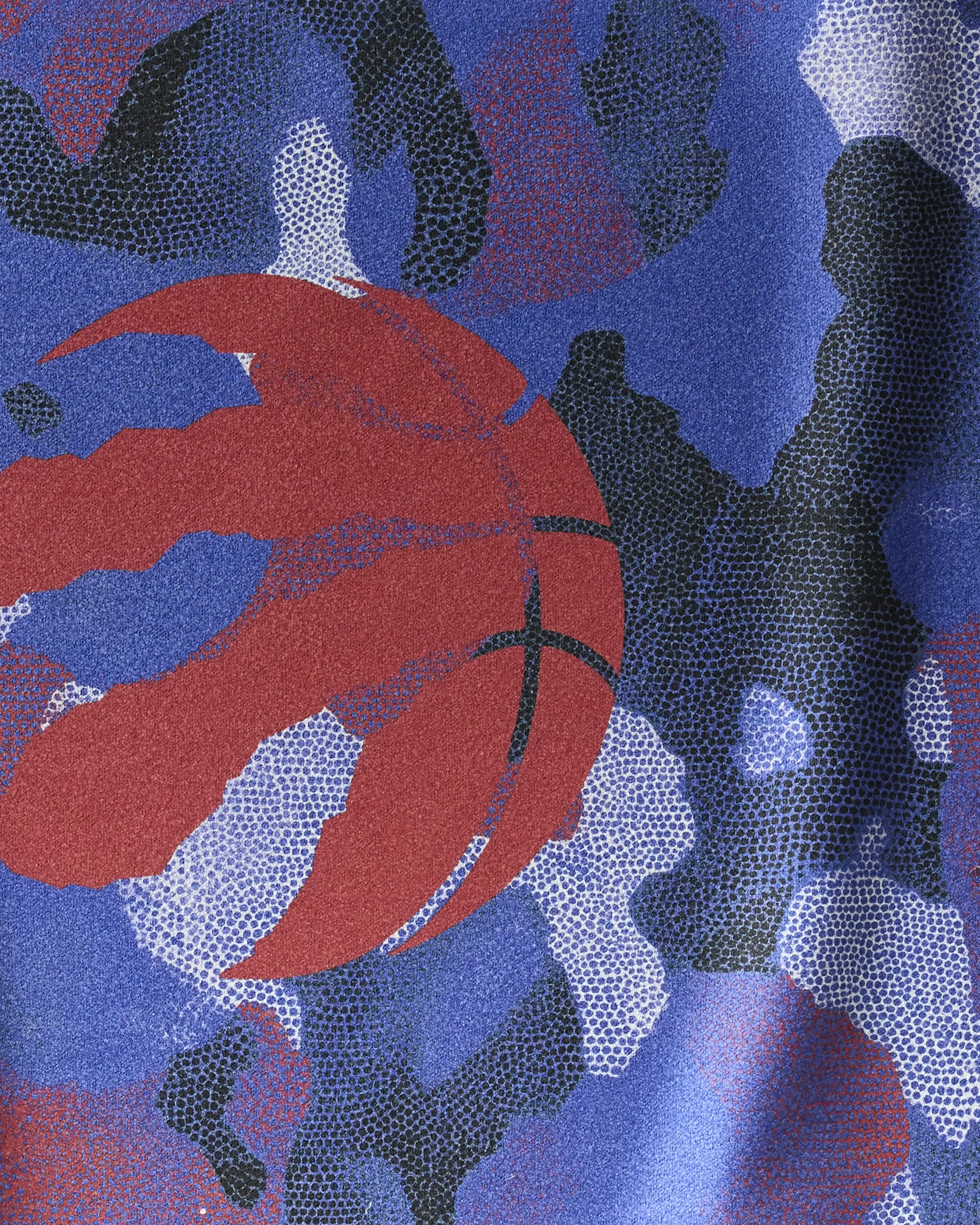 Raptors Camo - Image 2