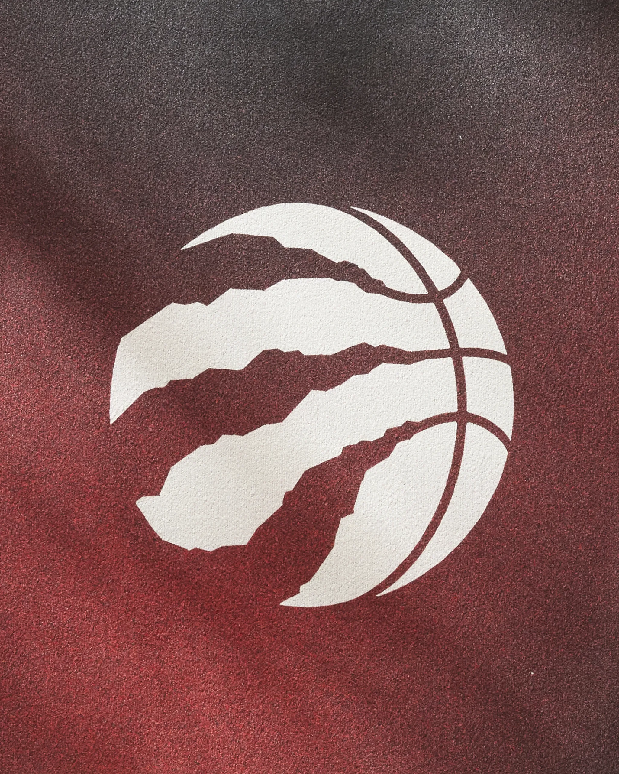 Raptors Fade - Image 2