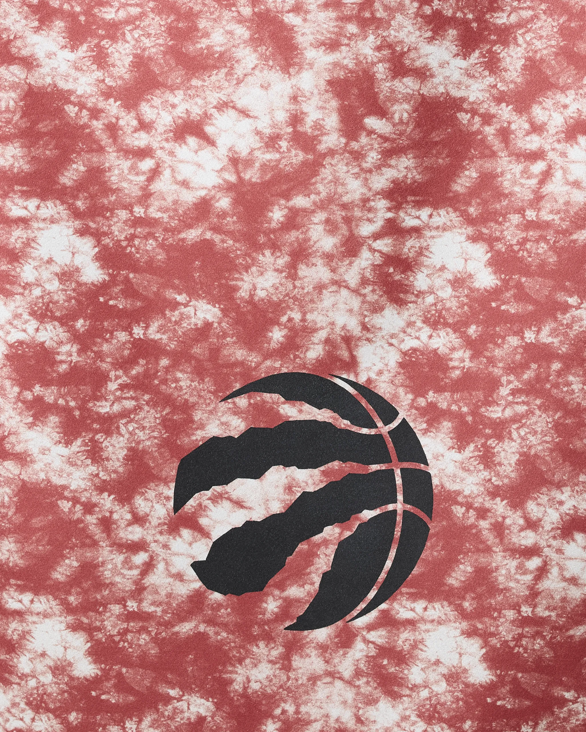 Raptors Flash - Image 2