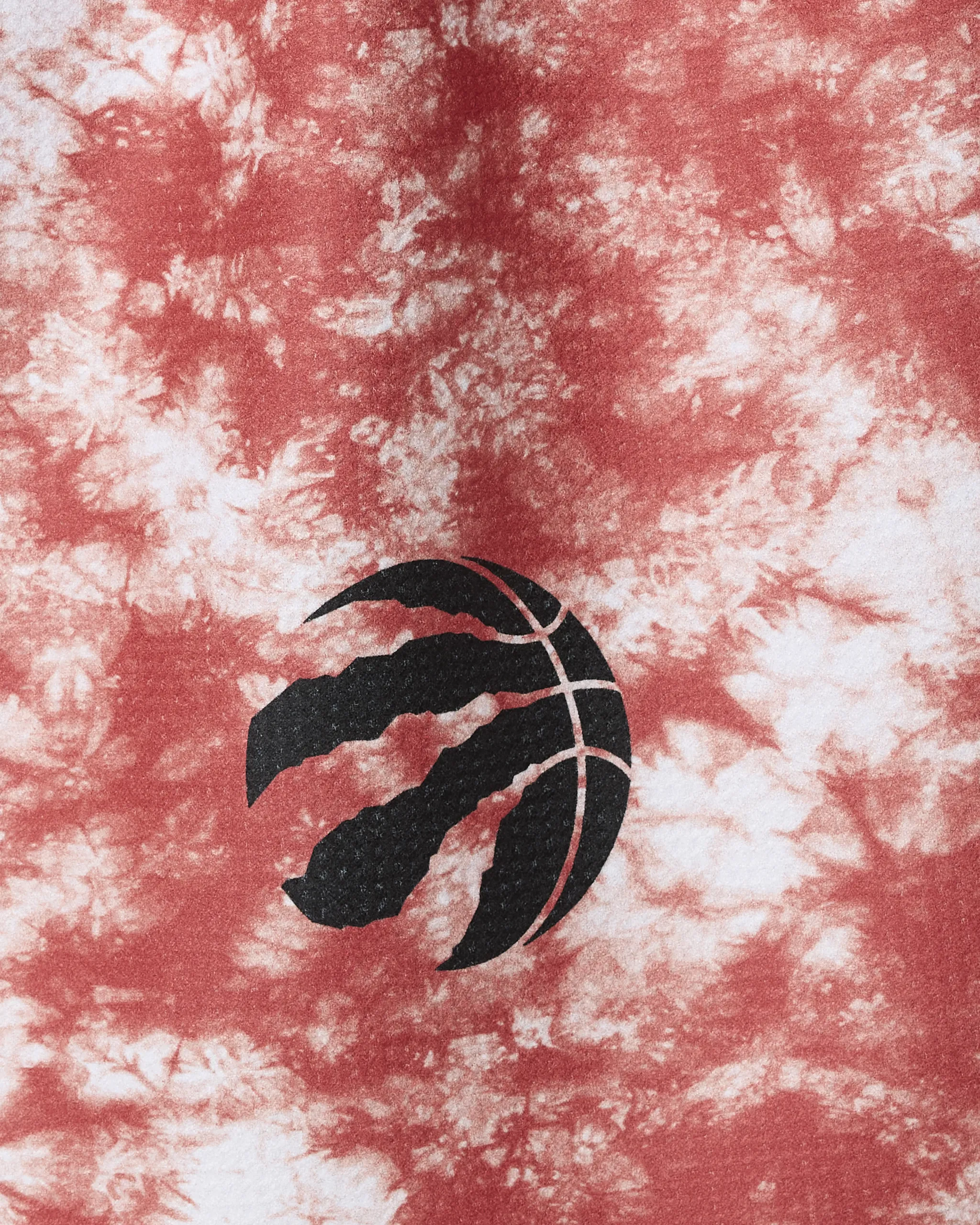 Raptors Flash - Image 2