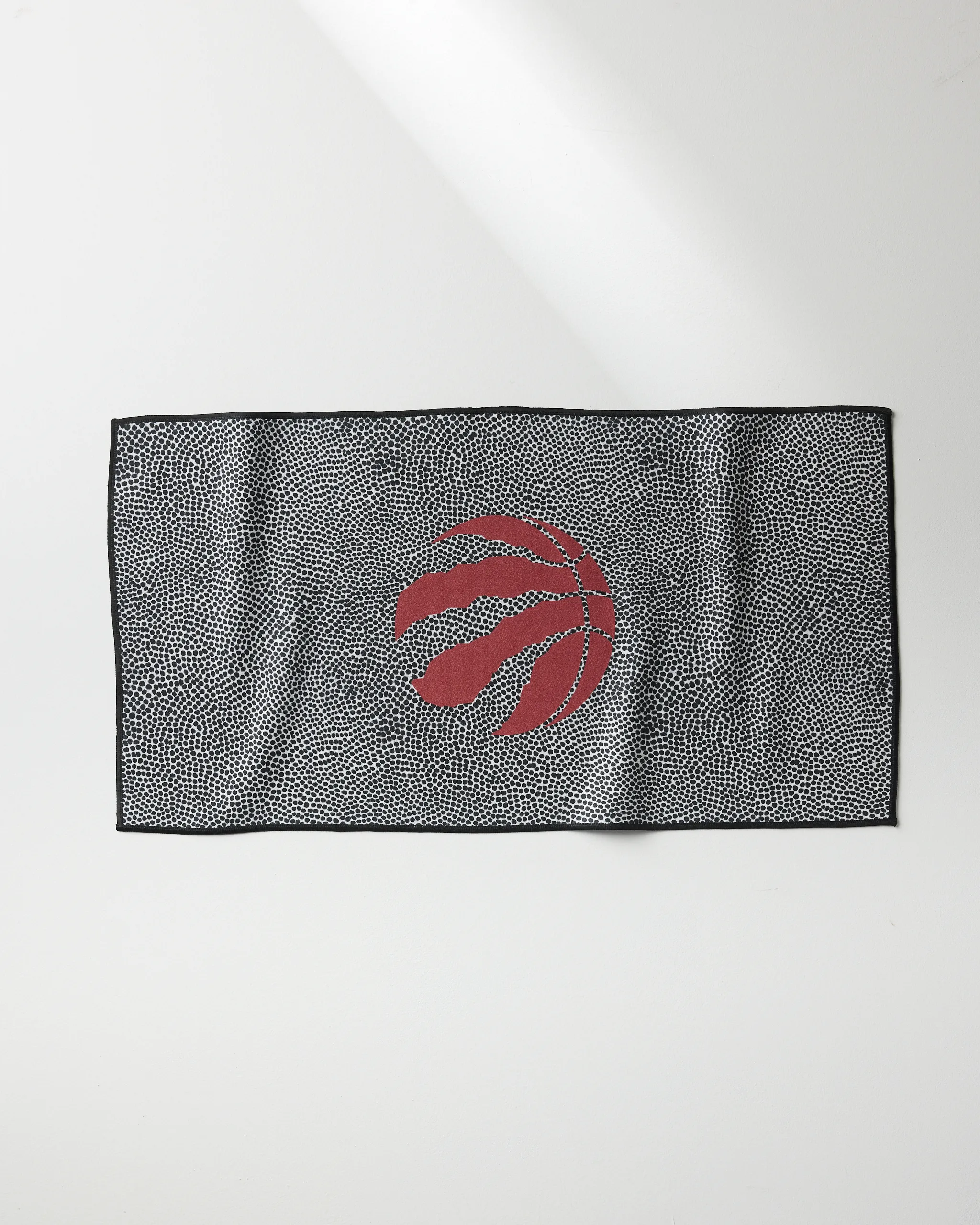 Raptors Grip