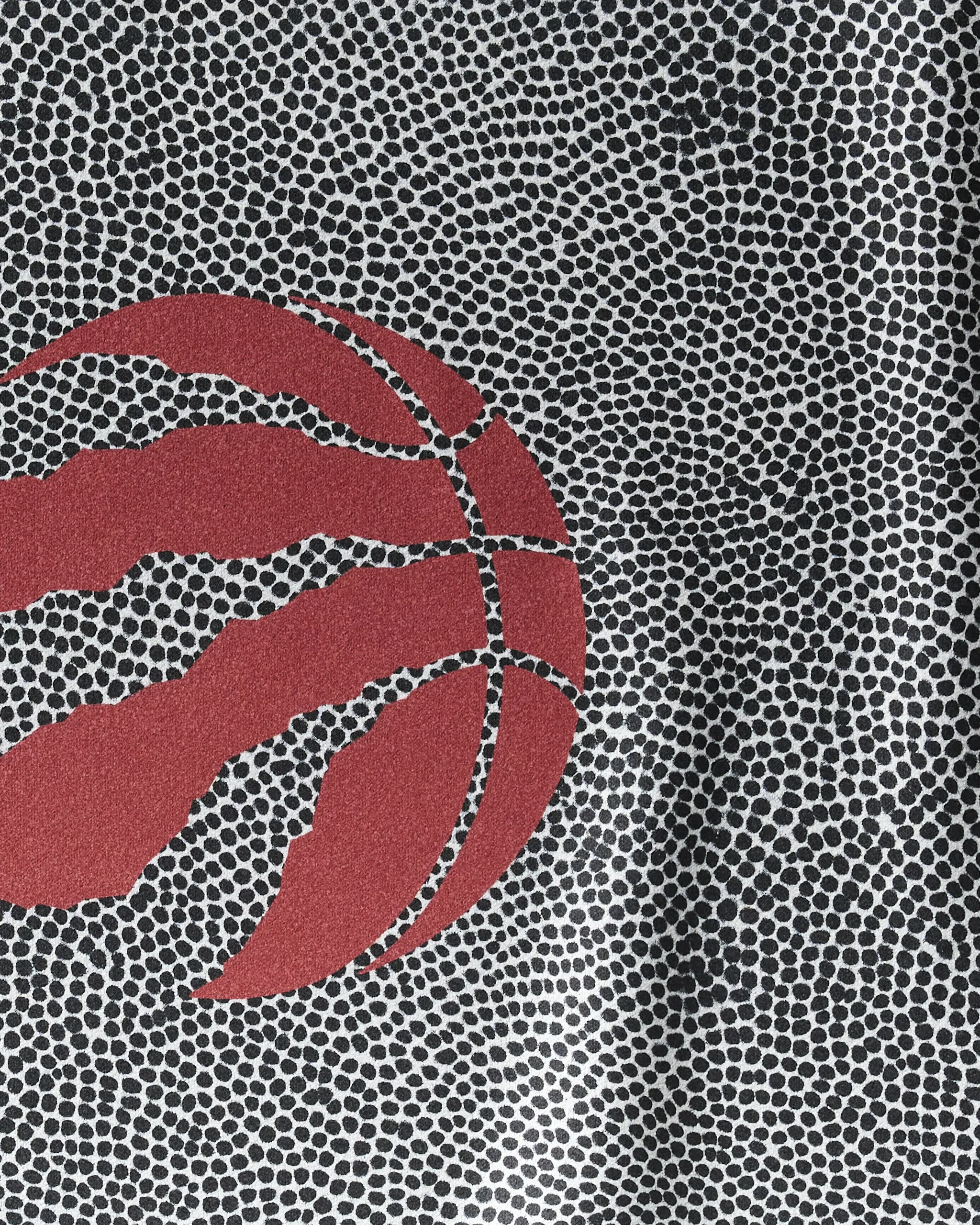 Raptors Grip - Image 2