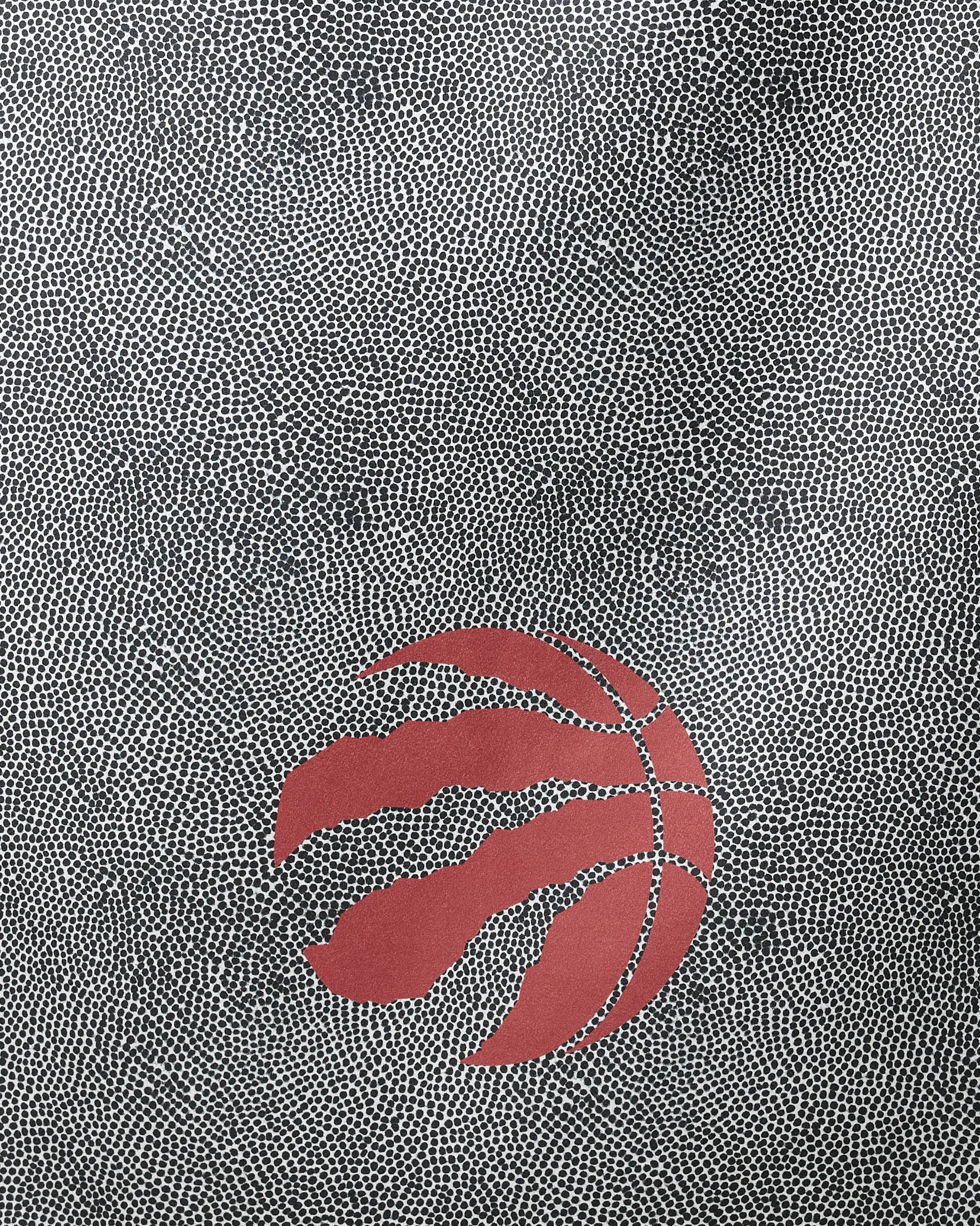 Raptors Grip - Image 2