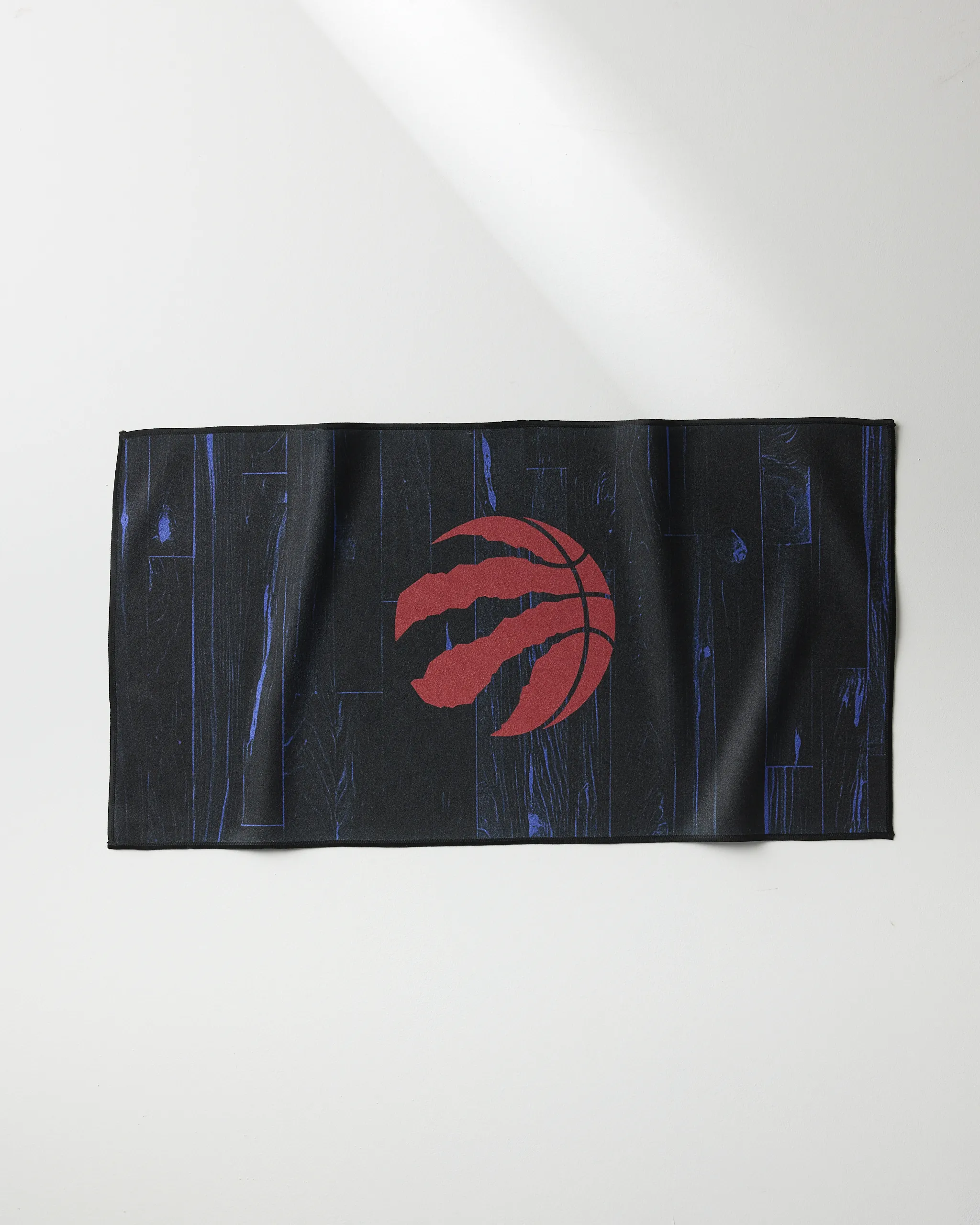 Raptors Zone