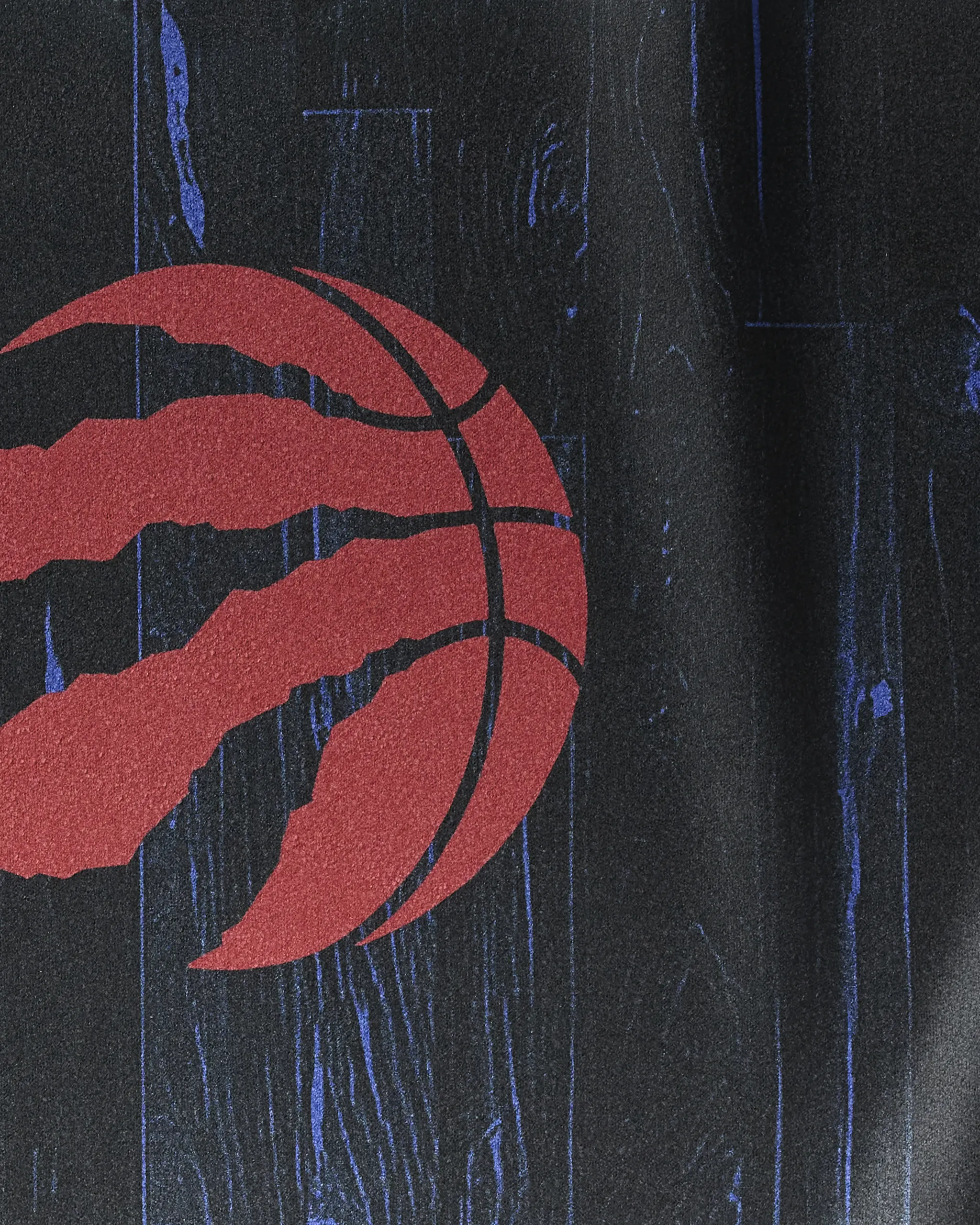 Raptors Zone - Image 2