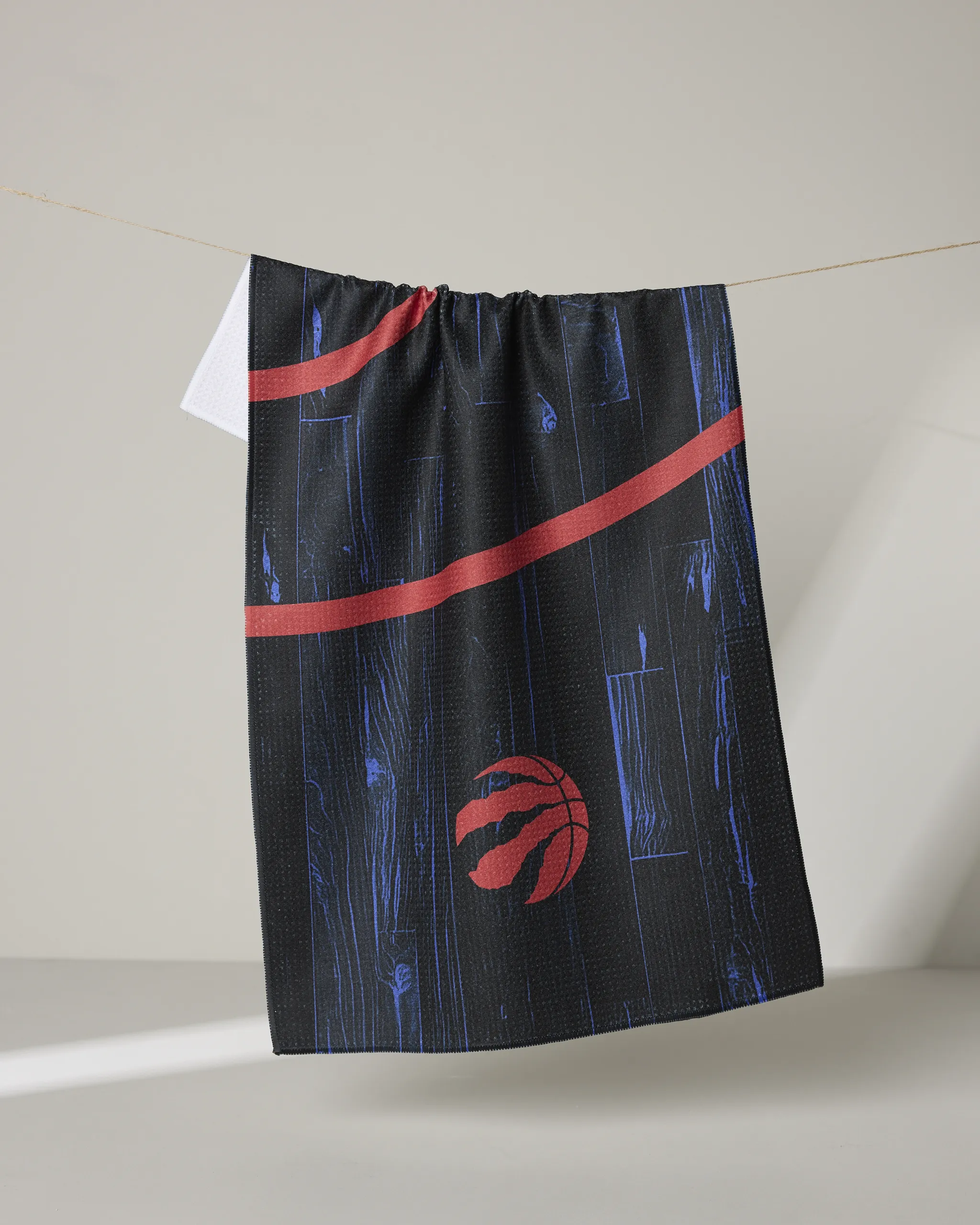 Raptors Zone