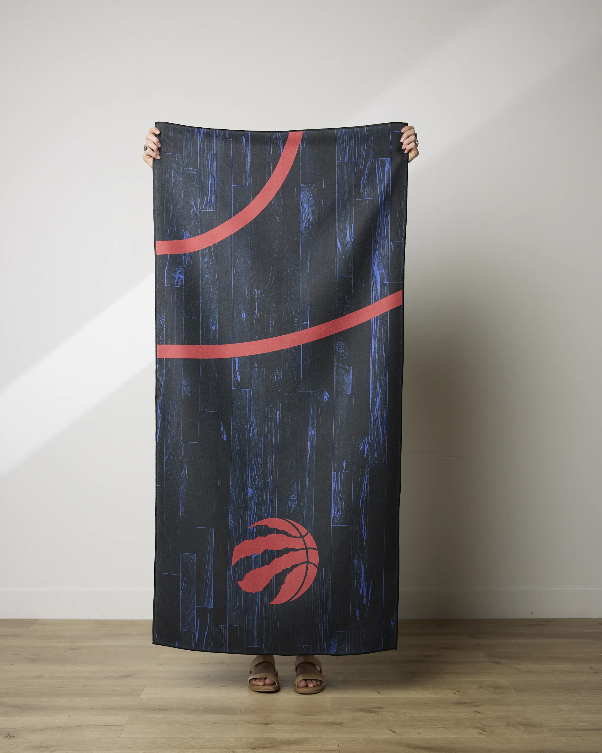 Raptors Zone