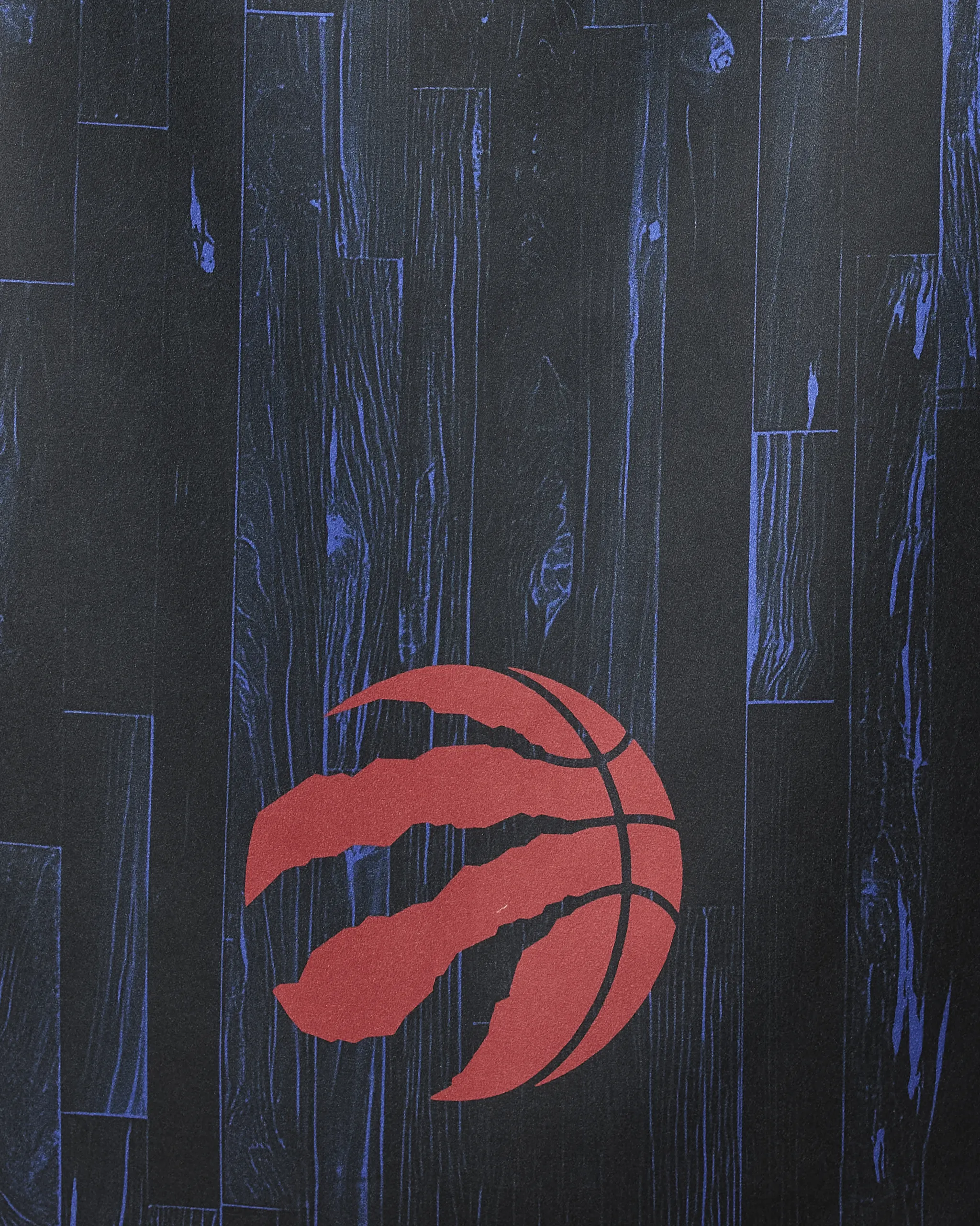 Raptors Zone - Image 2