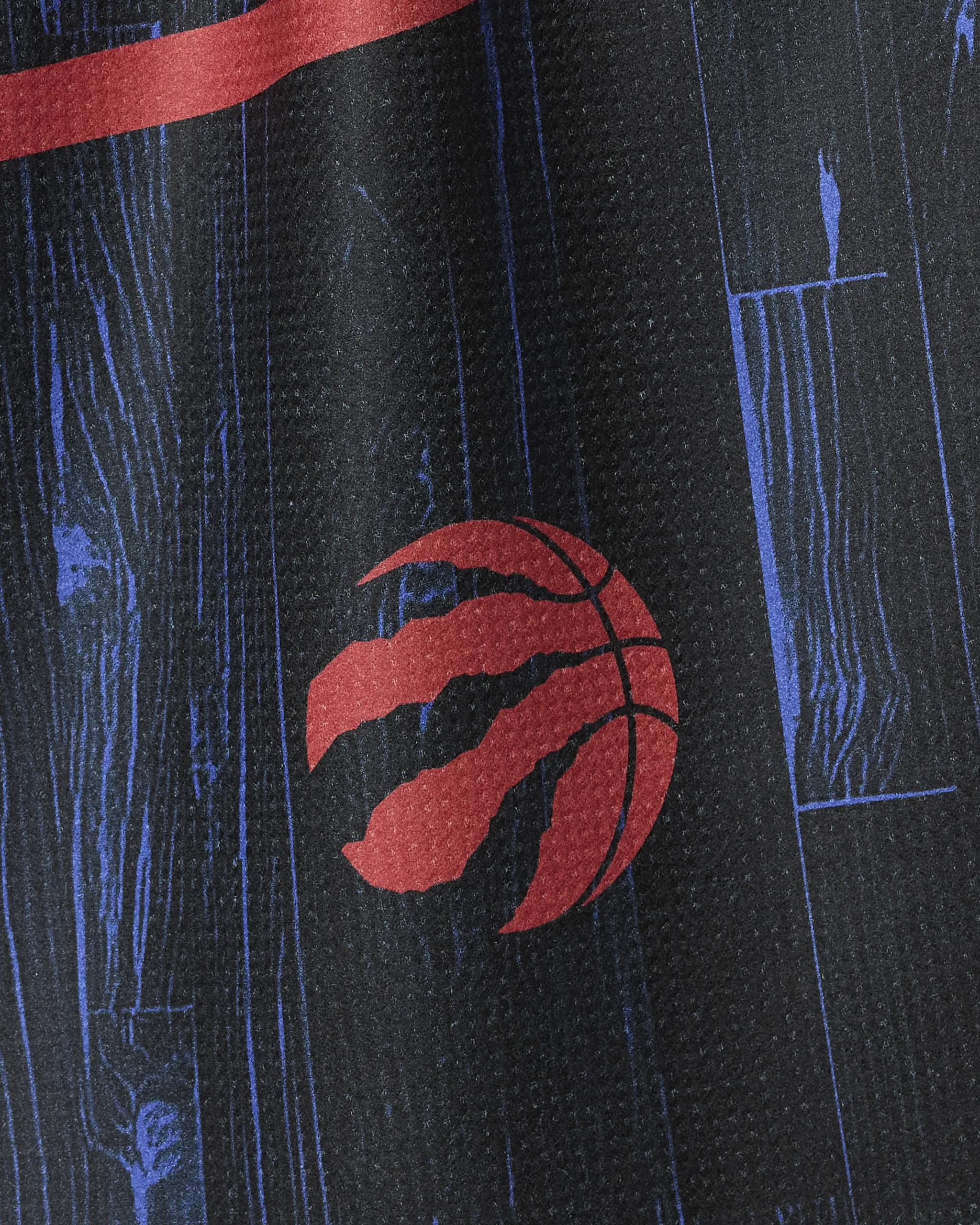 Raptors Zone - Image 2