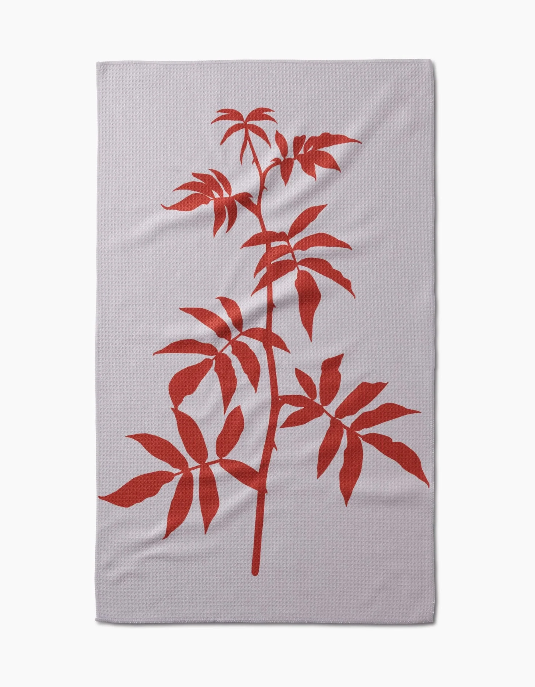 Rose - Image 3