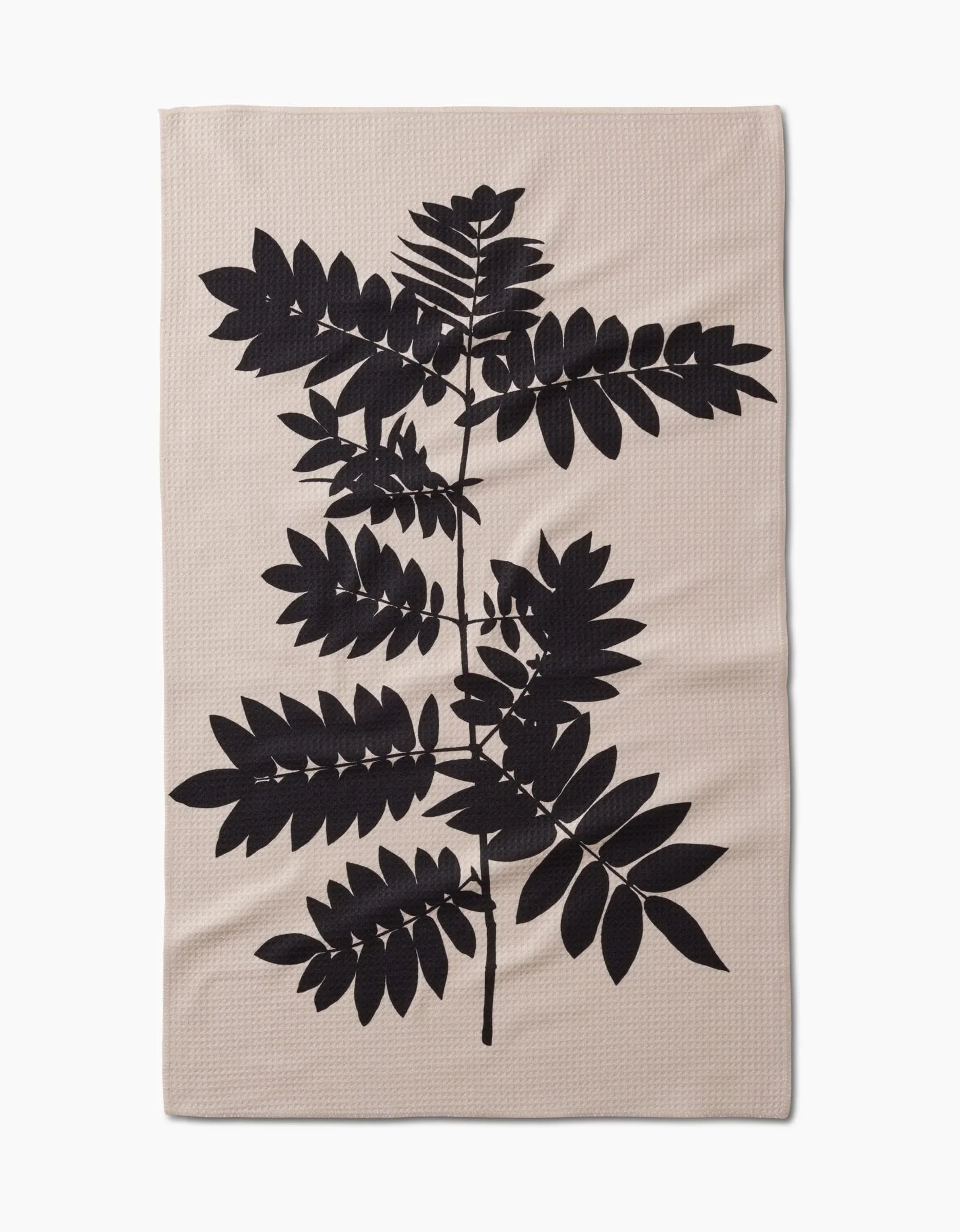 Rowan - Image 3