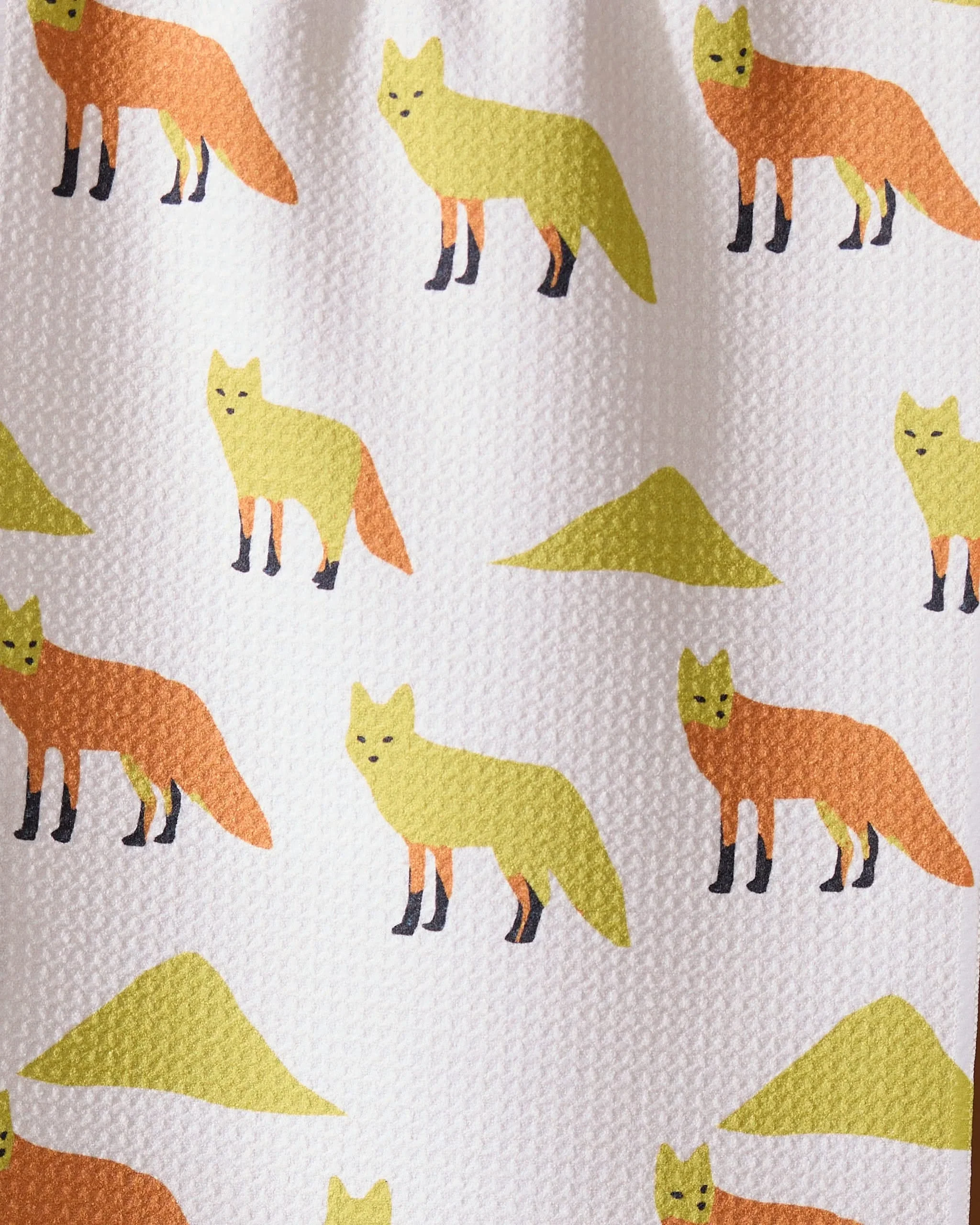 Sagebrush Fox - Image 2