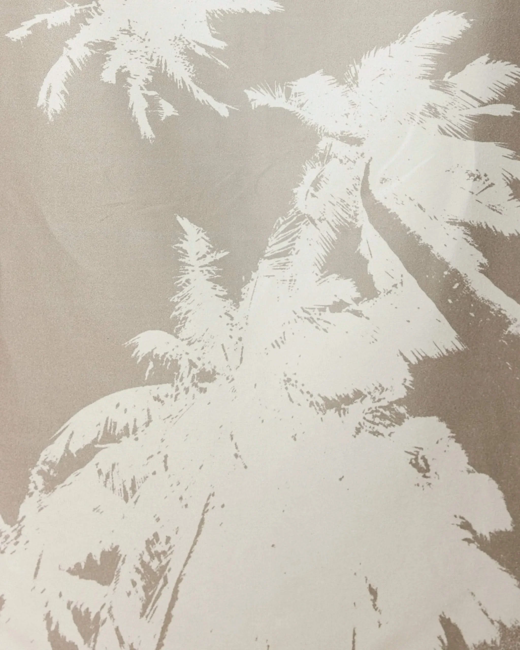 Sandy Palms - Image 2
