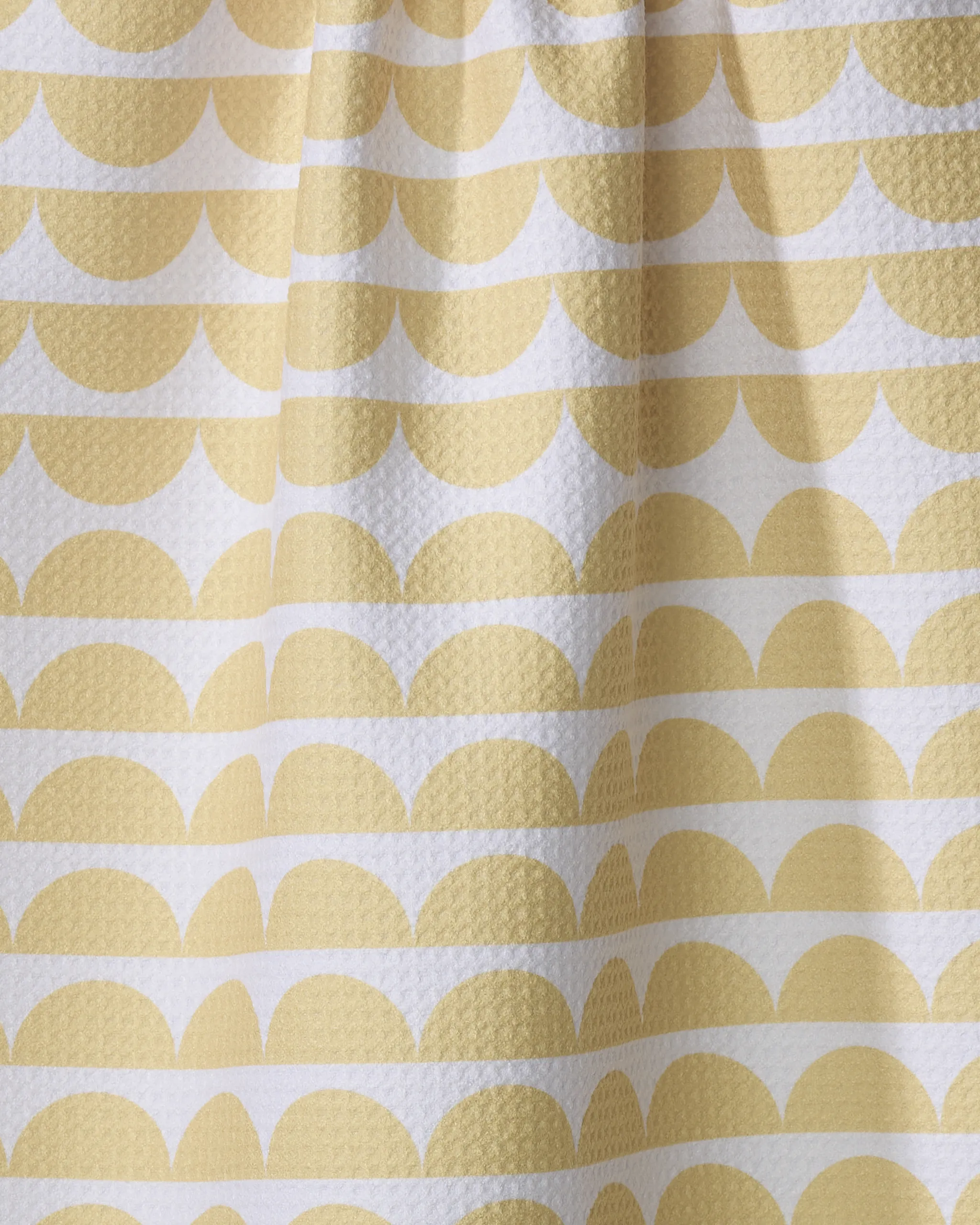 Scallops - Yellow - Image 2