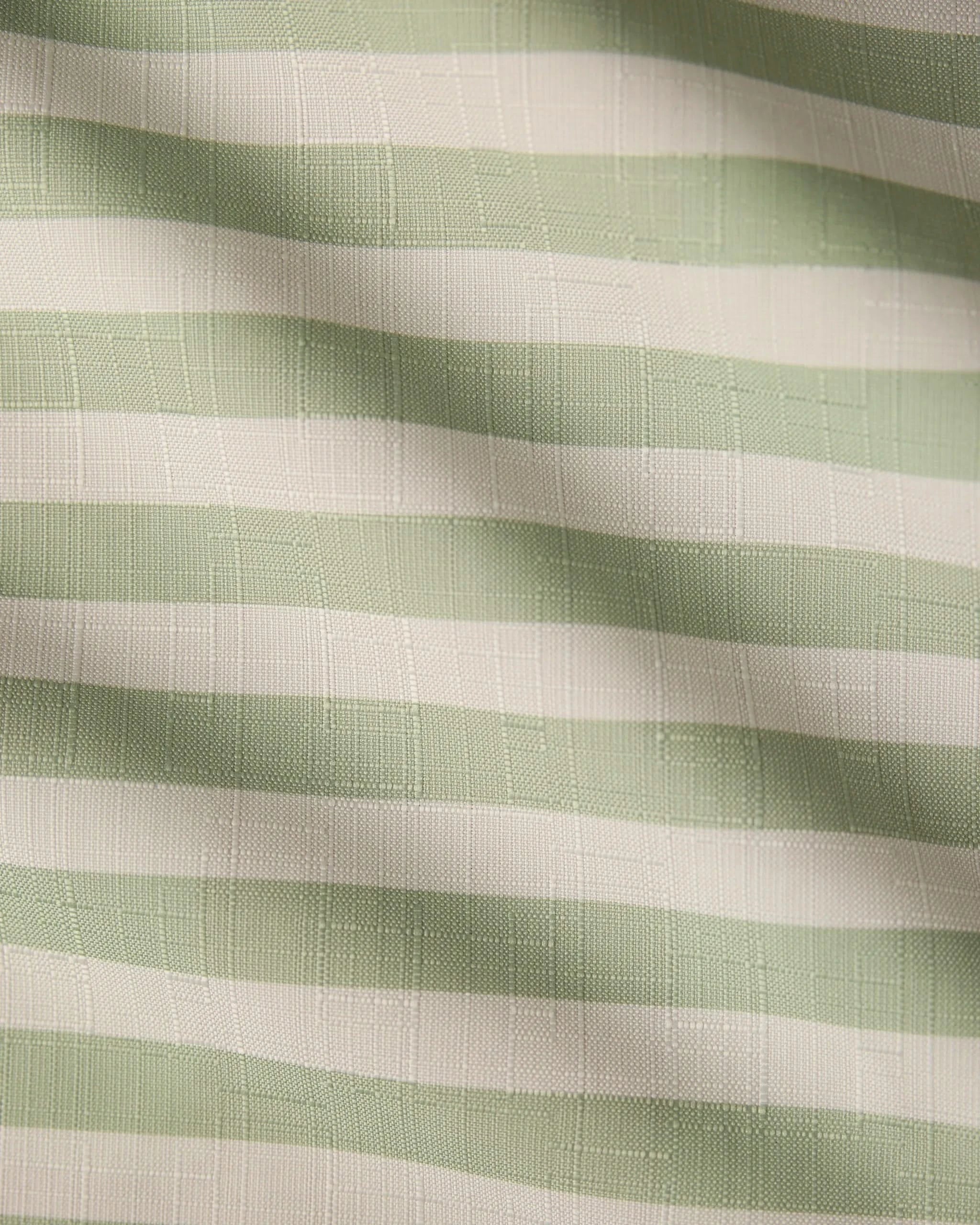Seagrass - Image 3