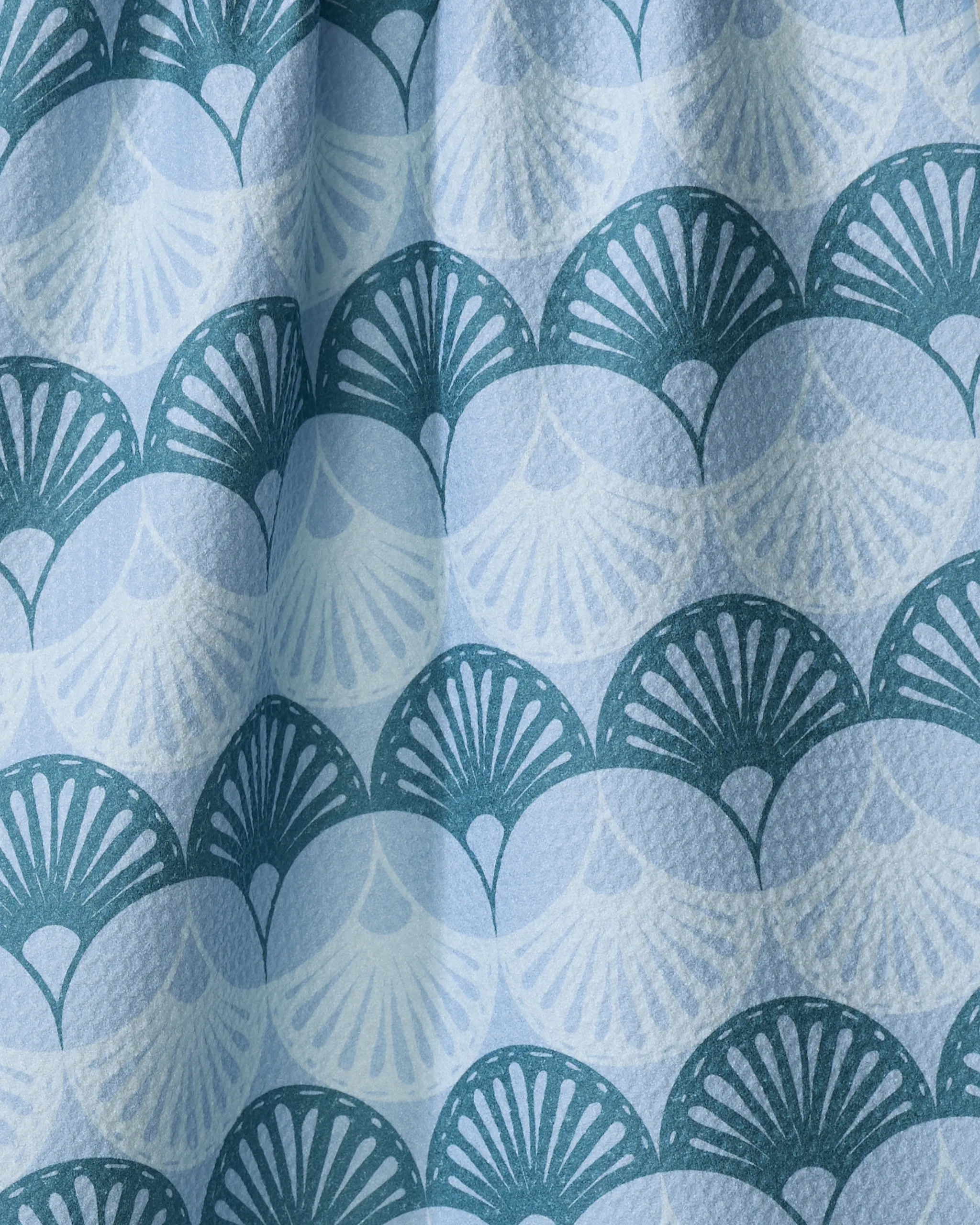 Seashells - Image 2
