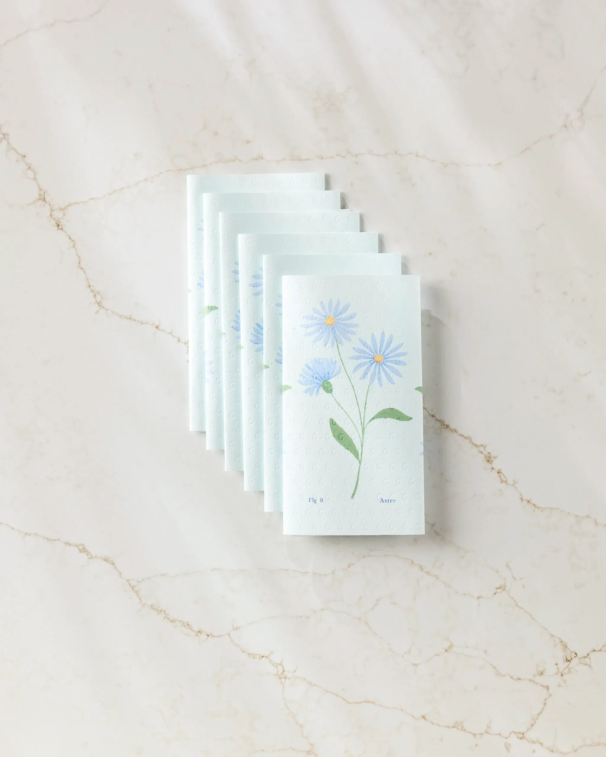 September Aster
