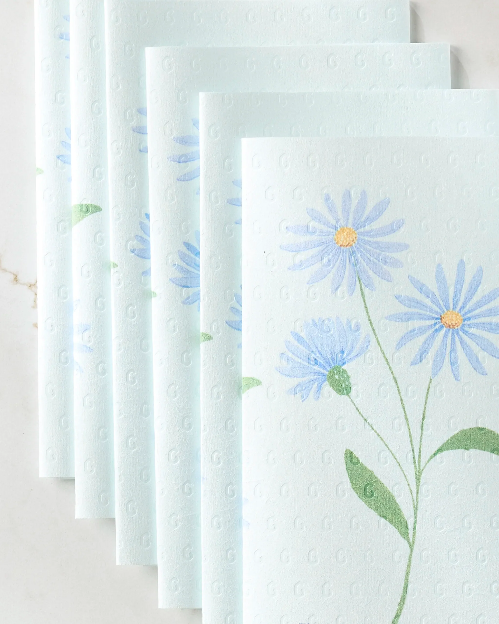 September Aster - Image 2