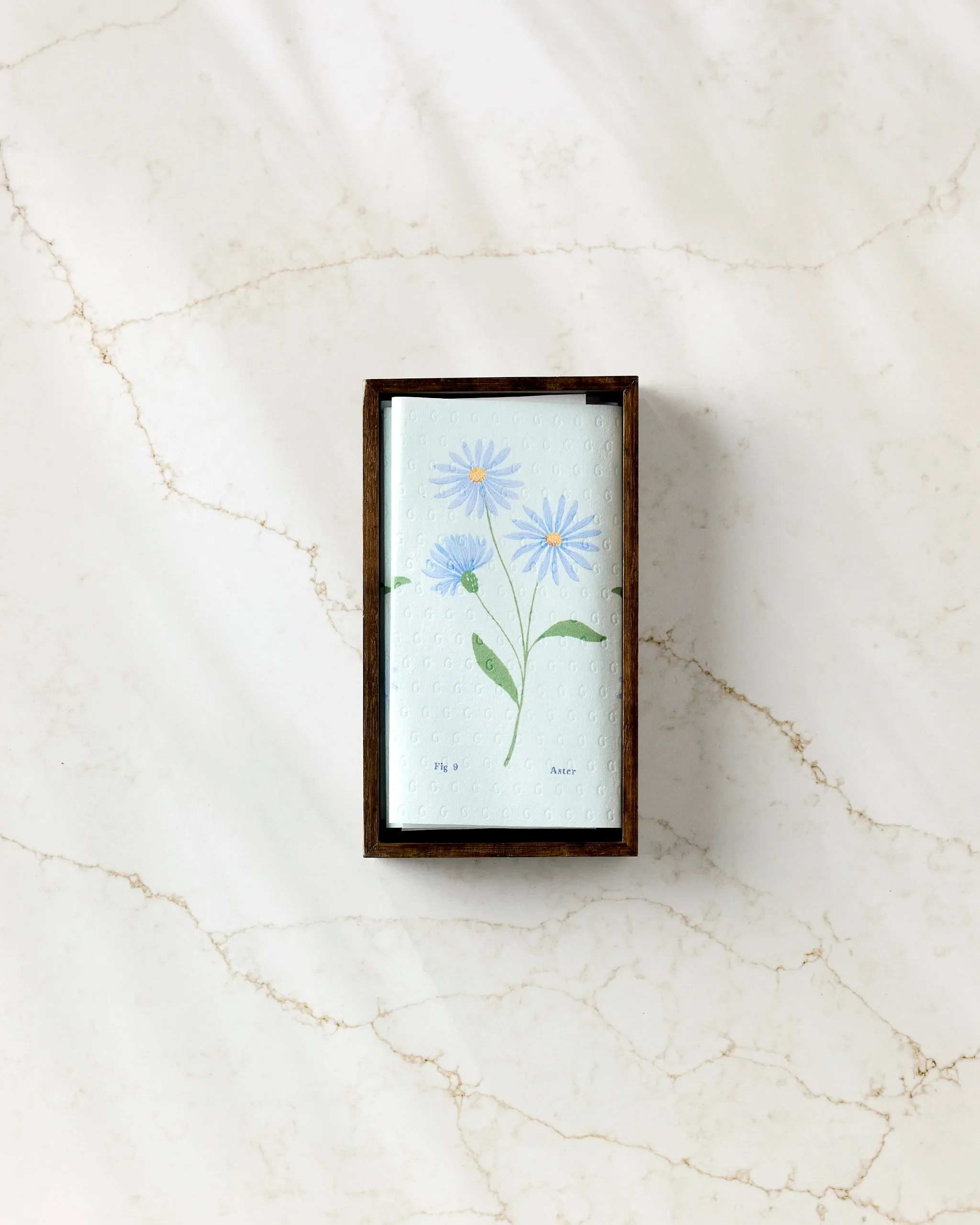 September Aster - Image 3