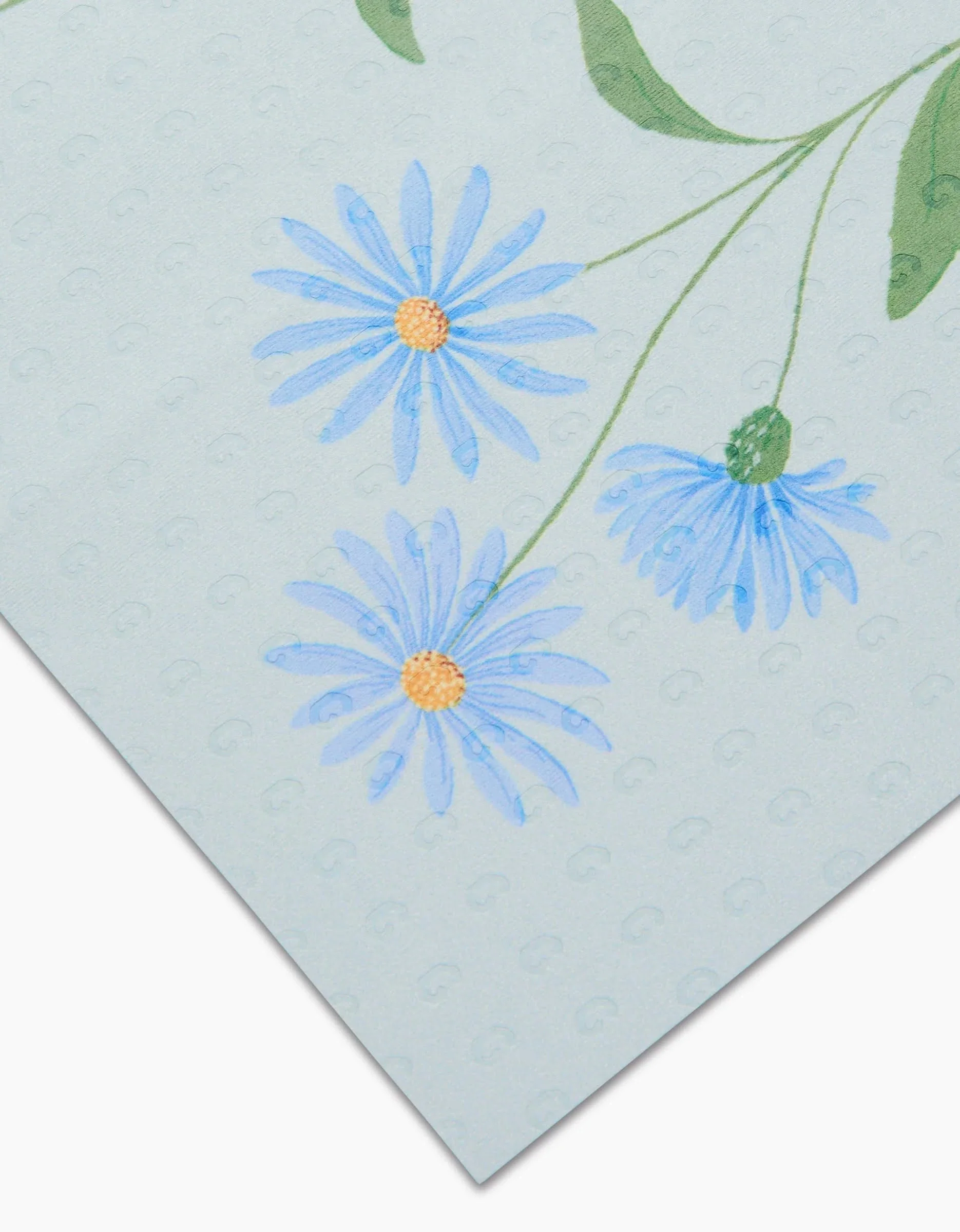 September Aster - Image 4