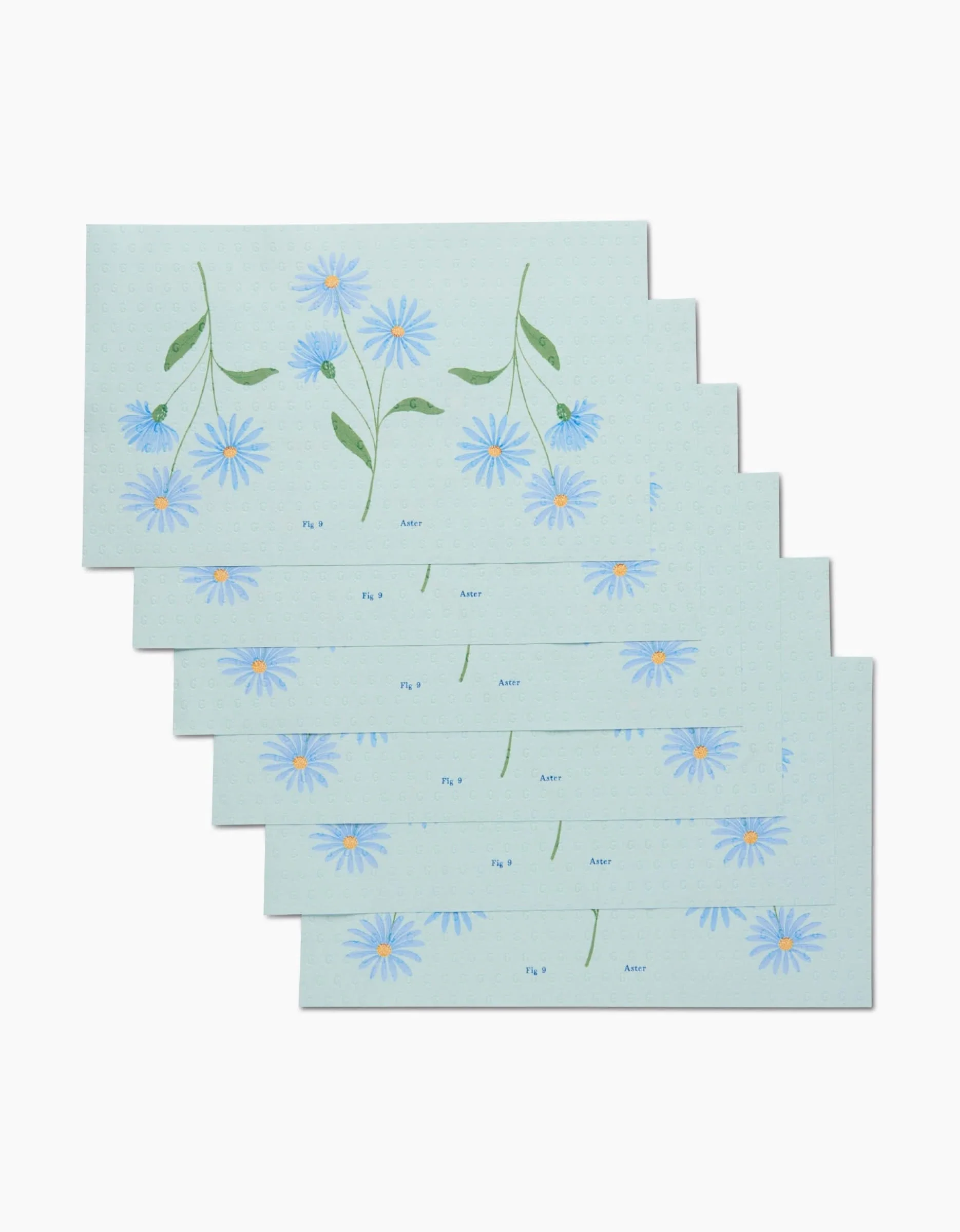 September Aster - Image 5