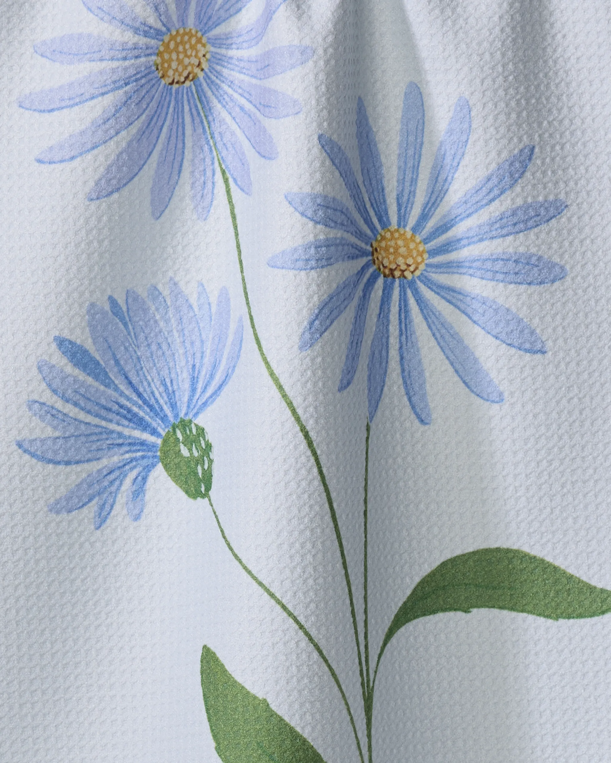 September Aster - Image 2