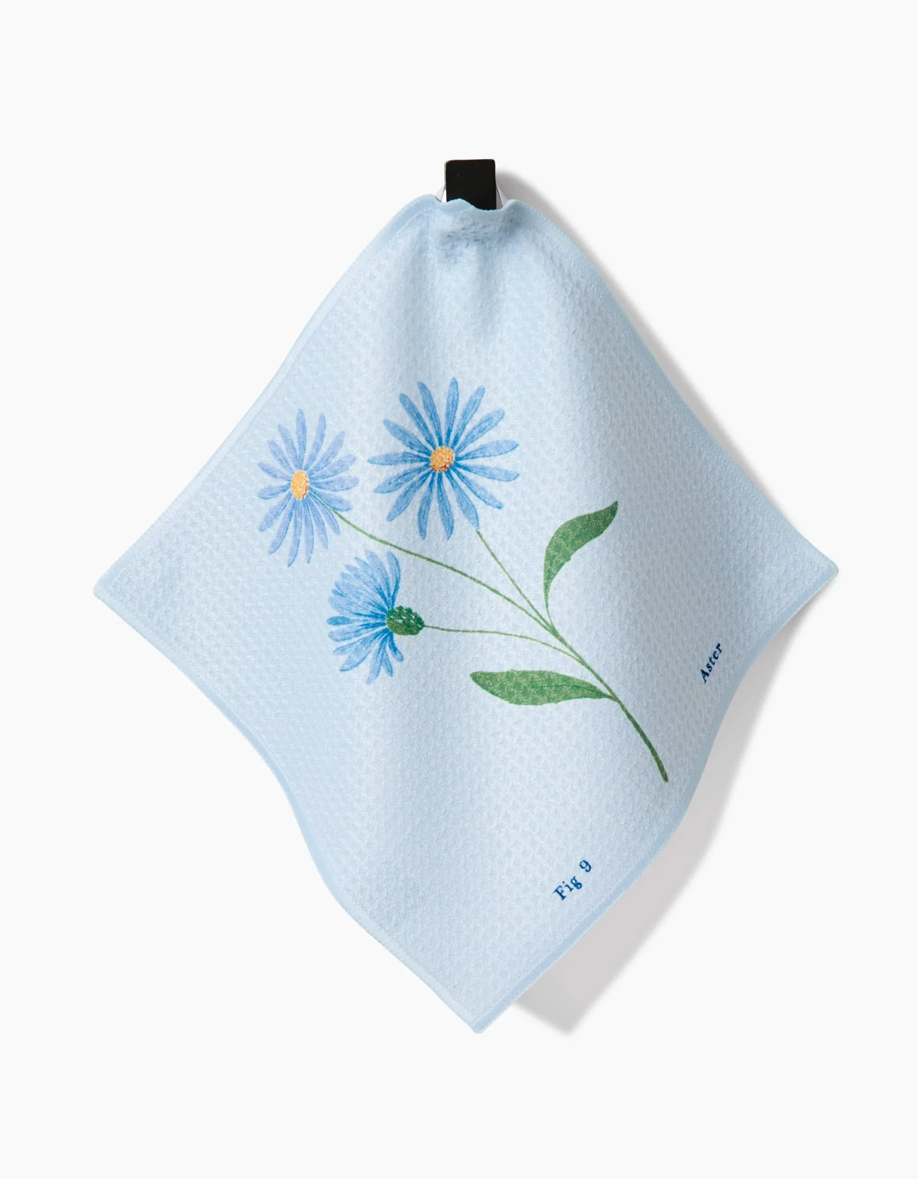September Aster - Image 3
