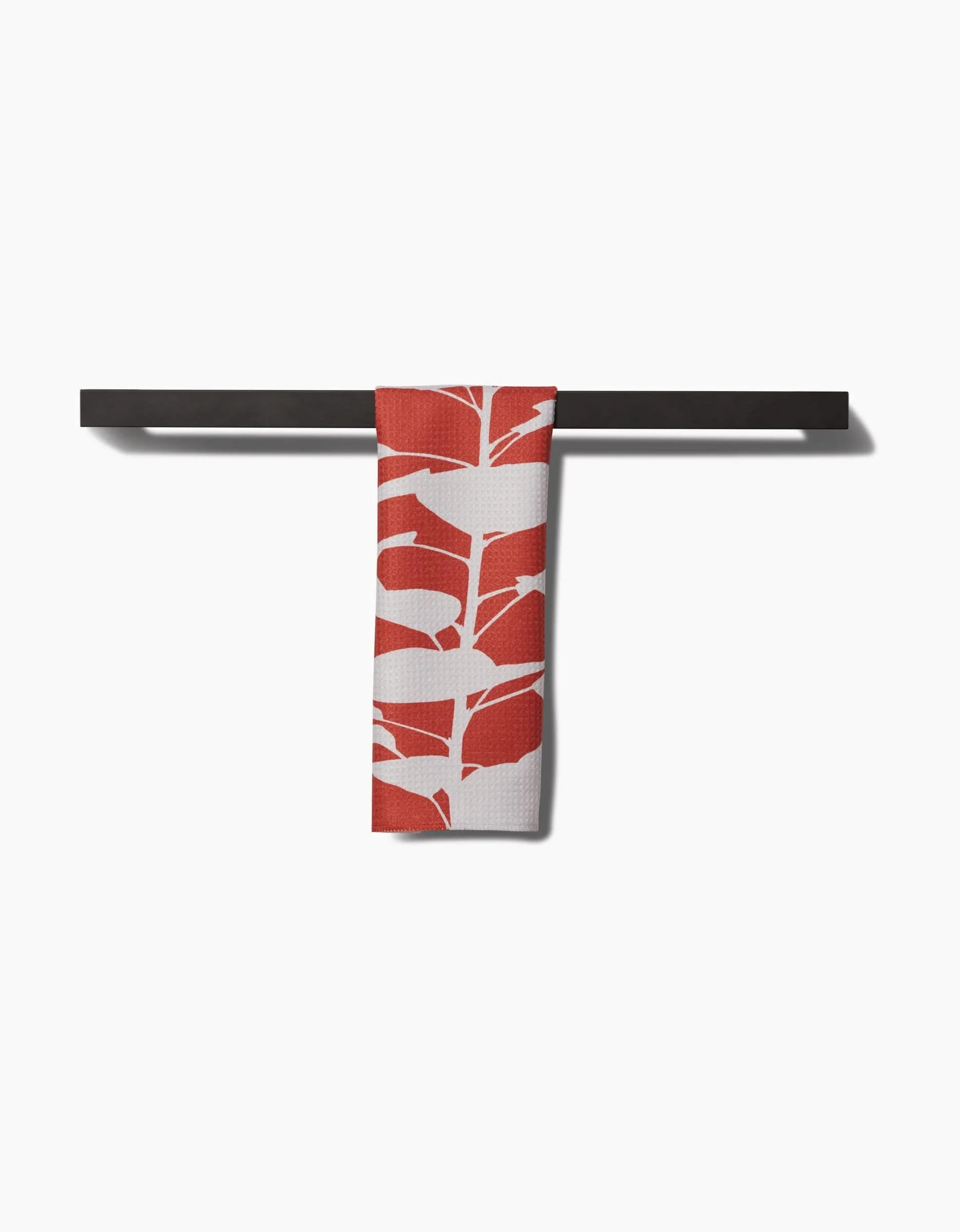 Smoketree - Image 4