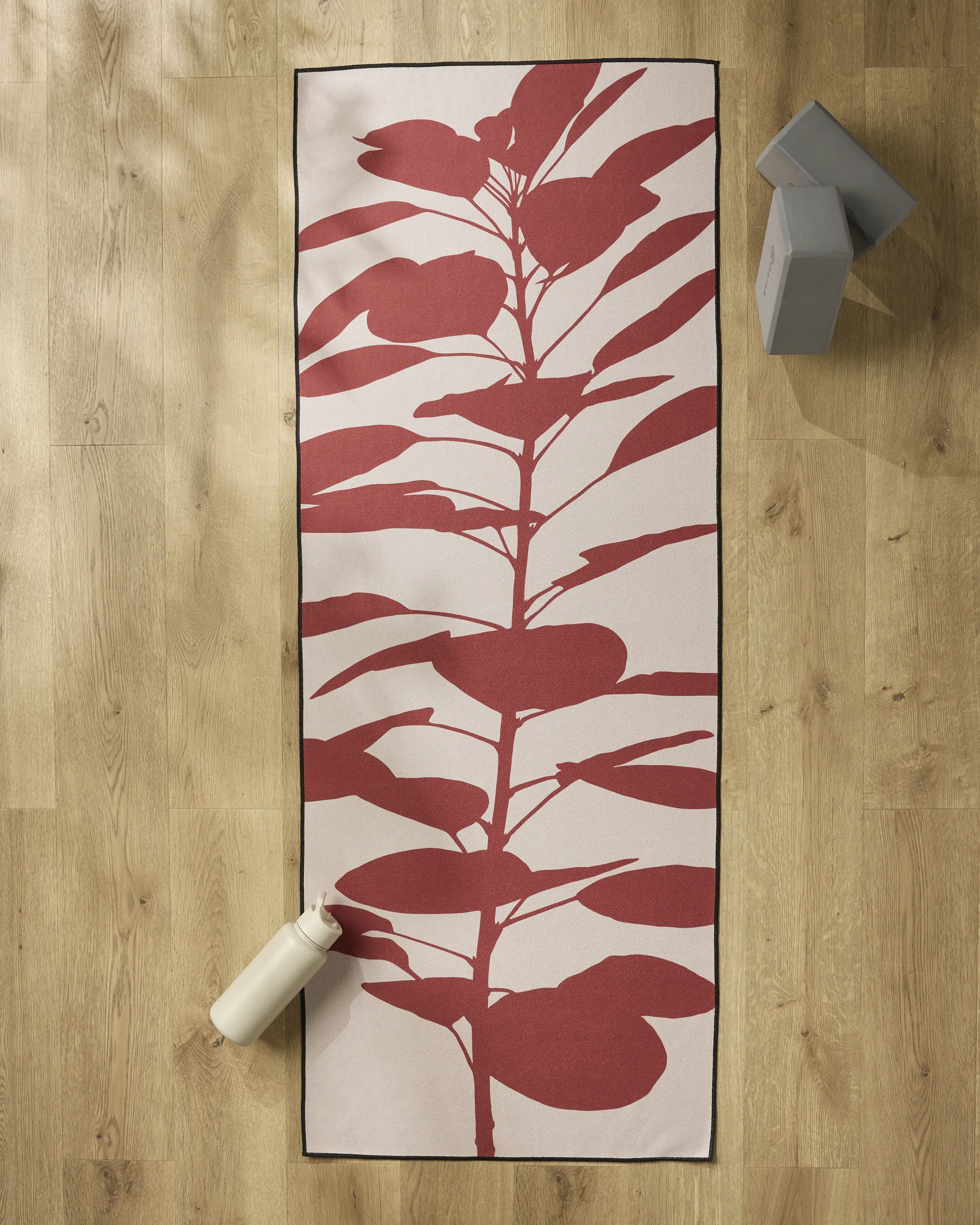 Smoketree