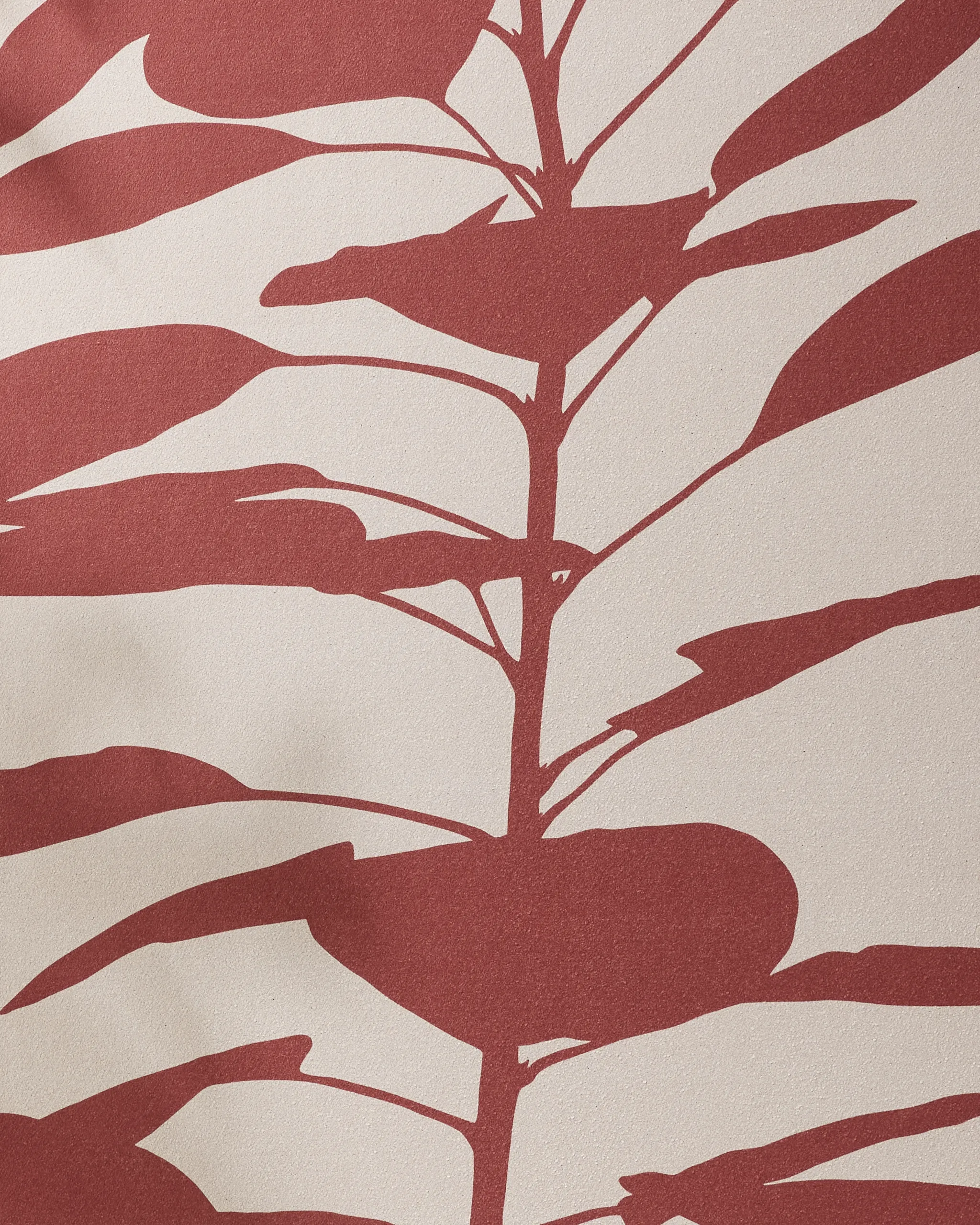 Smoketree - Image 2