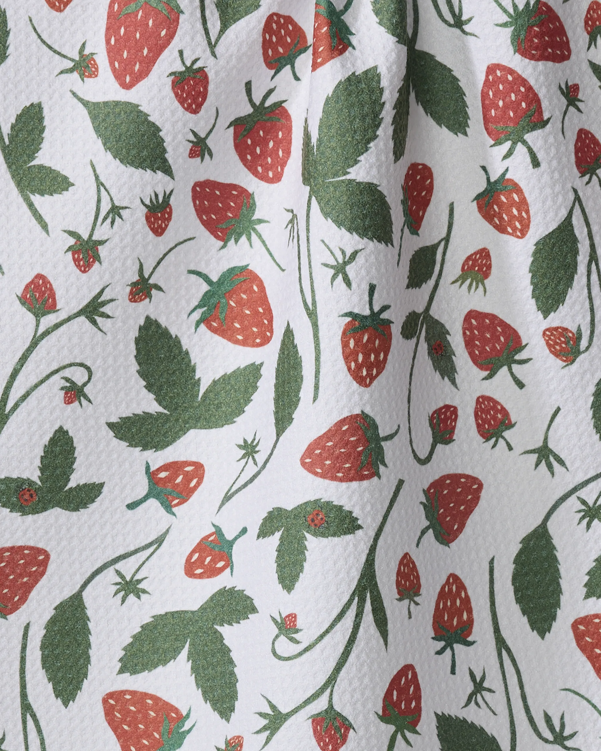 Strawberries - Image 2