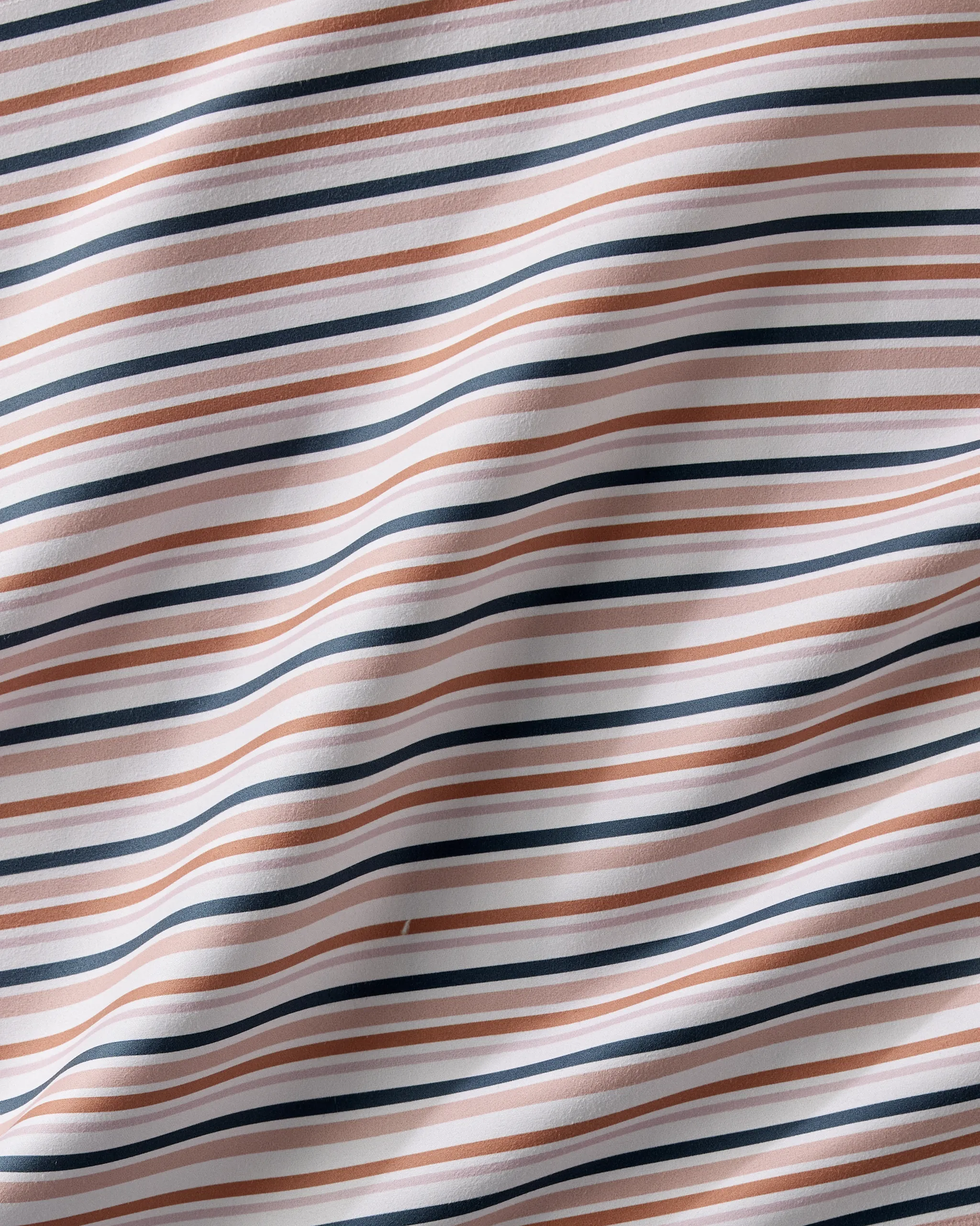Striped Harvest - Image 4