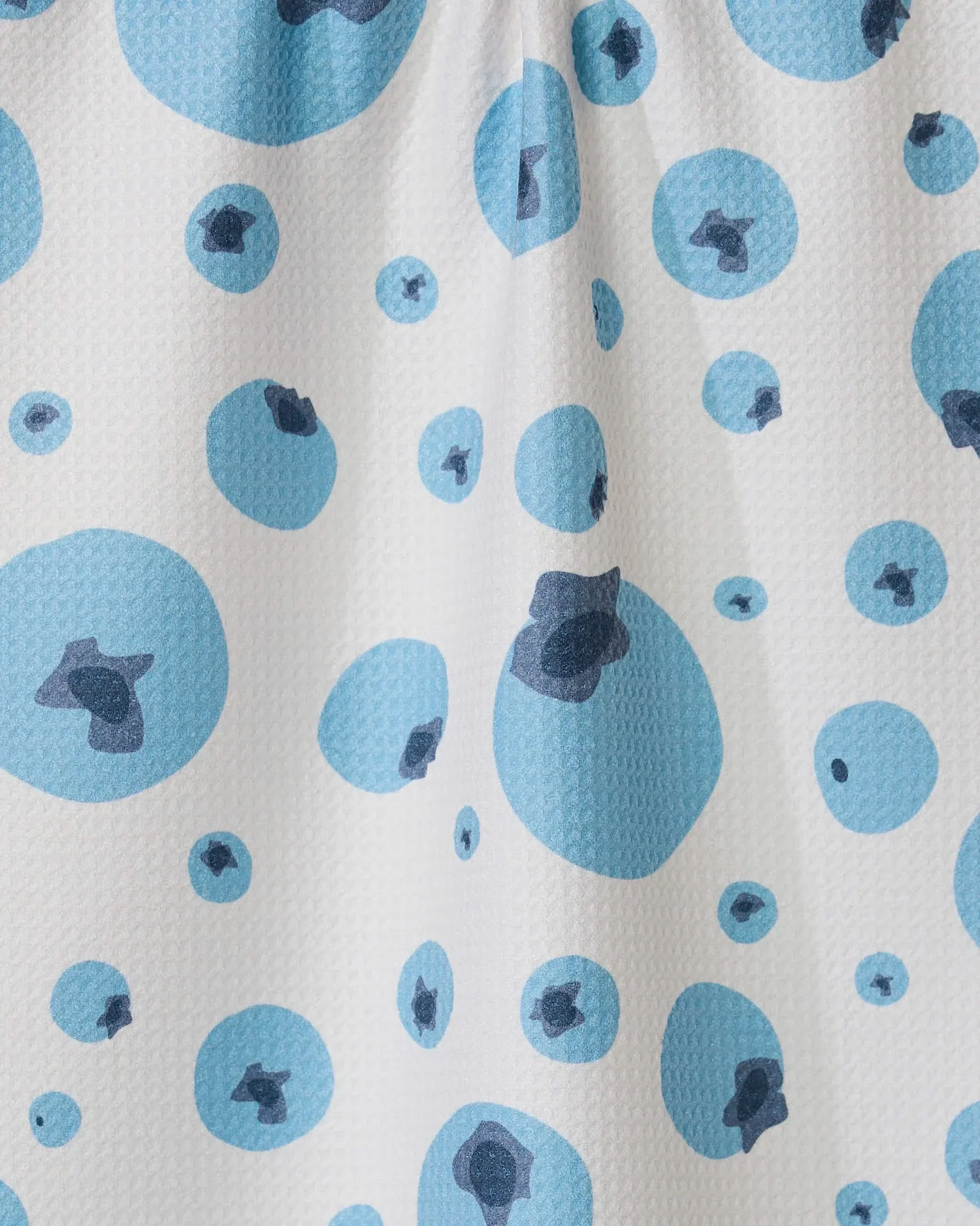 Sunny Blueberries - Image 2