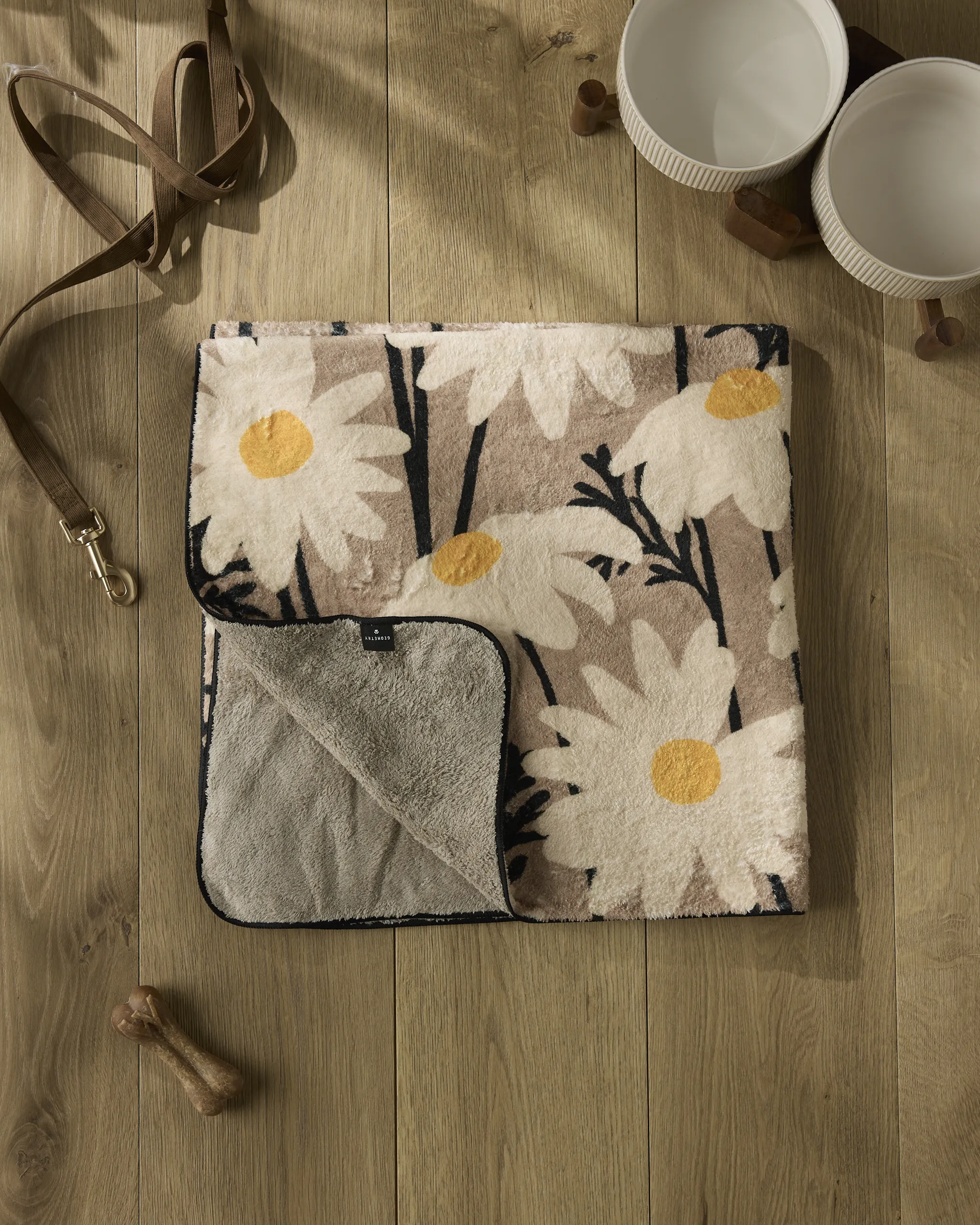 Sweet Daisies