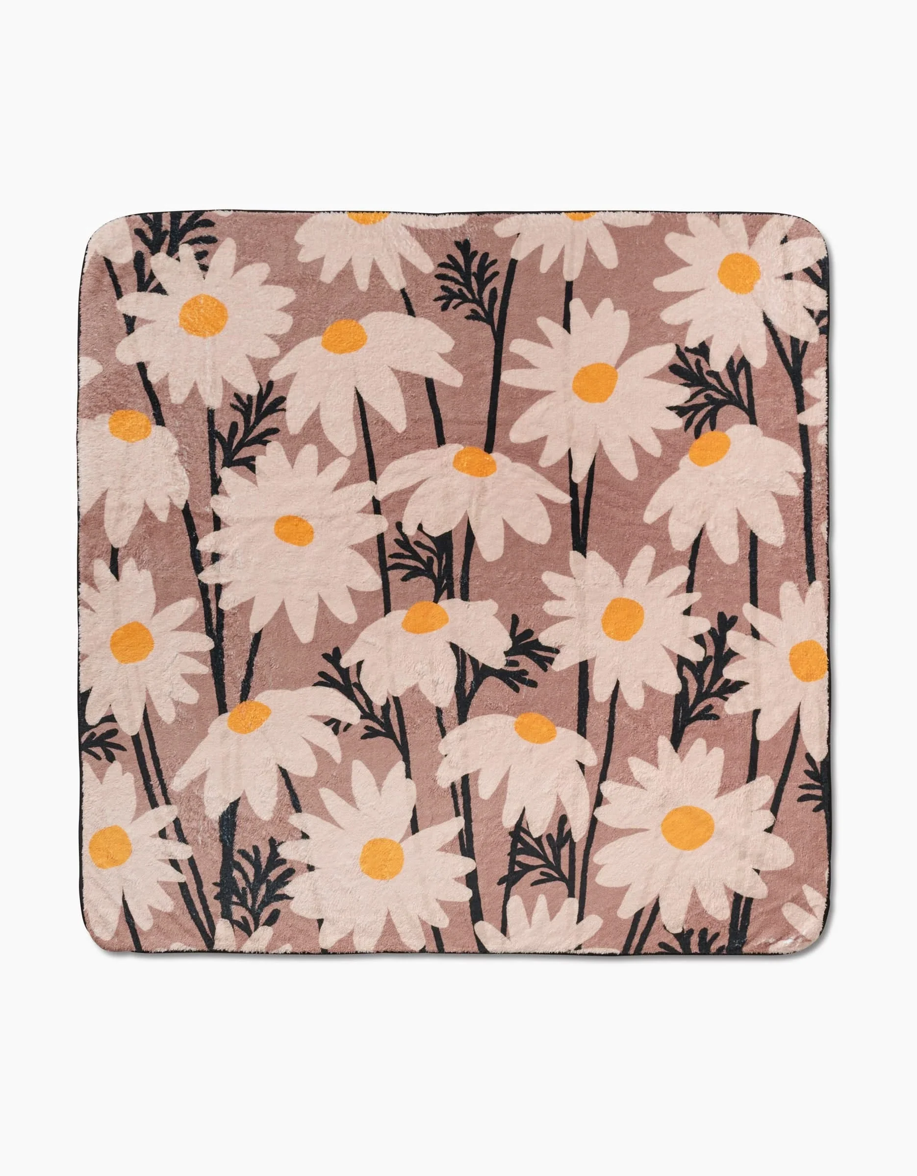 Sweet Daisies - Image 3