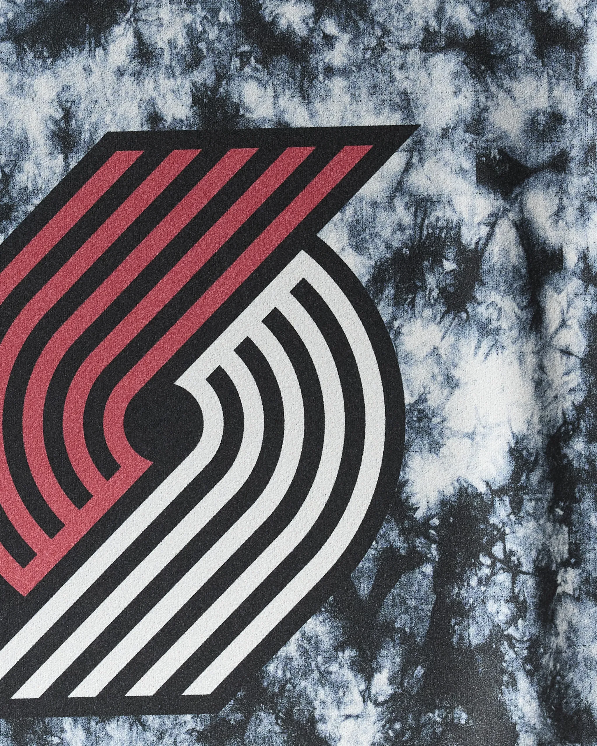 Trail Blazers Flash - Image 2