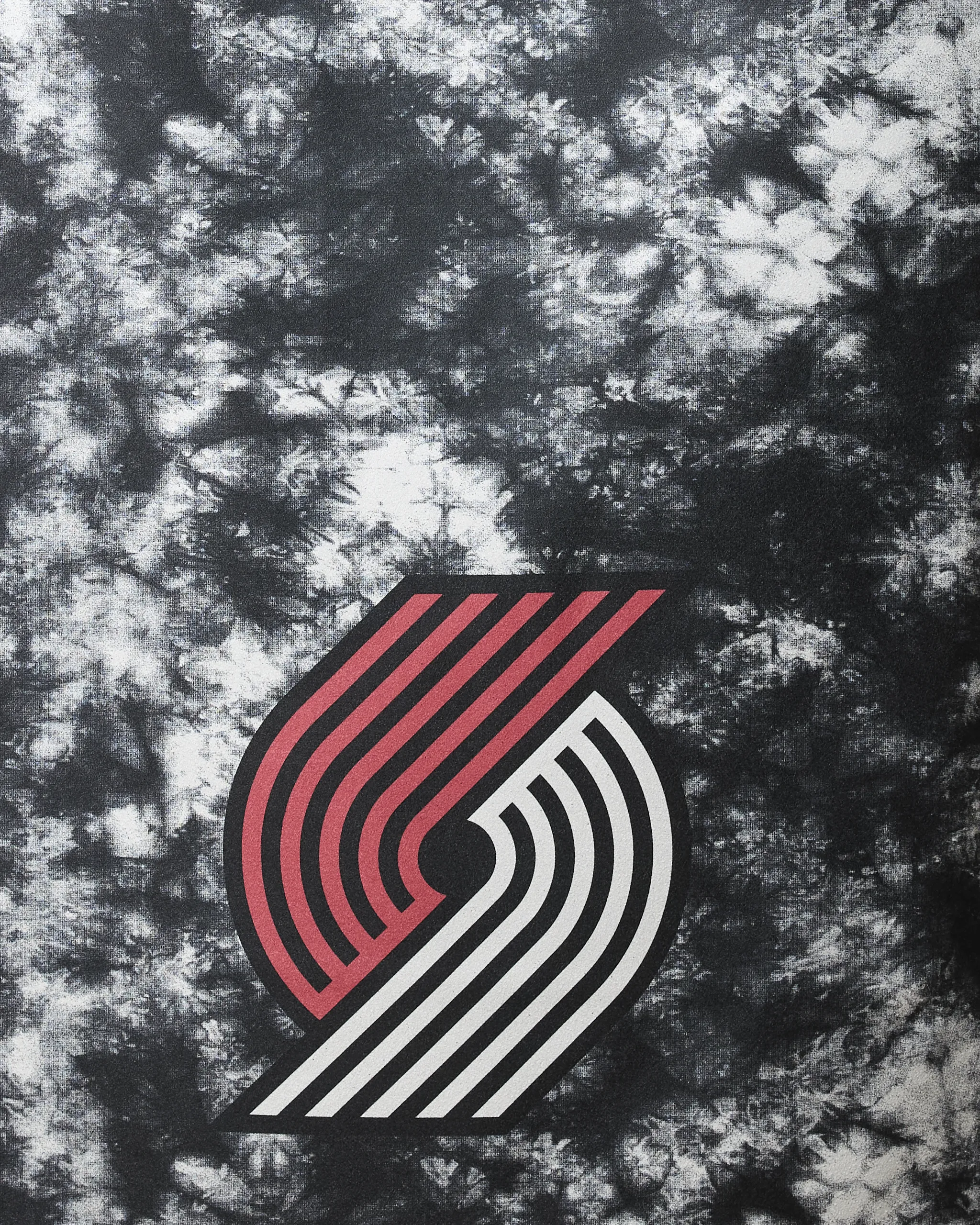 Trail Blazers Flash - Image 2