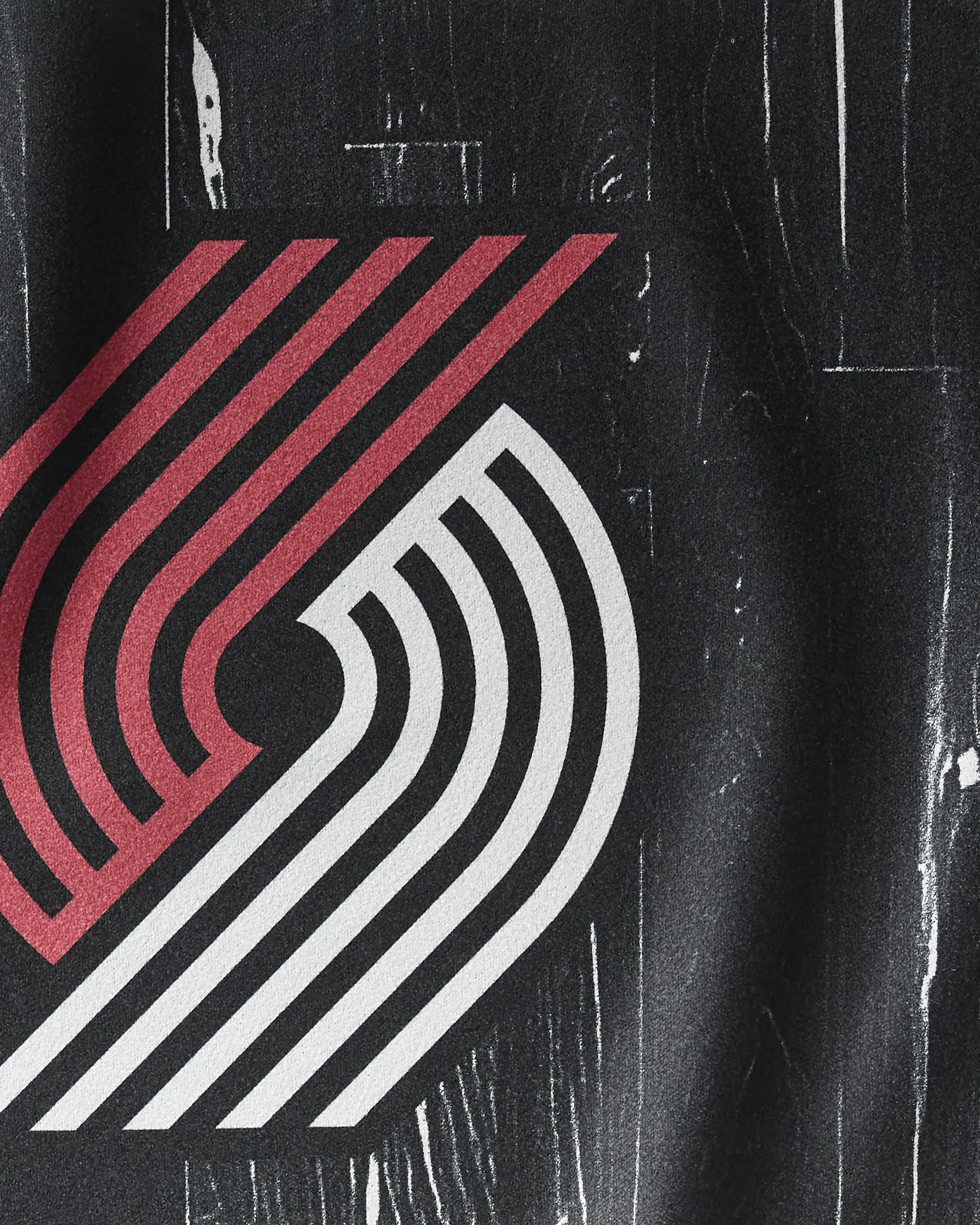 Trail Blazers Zone - Image 2