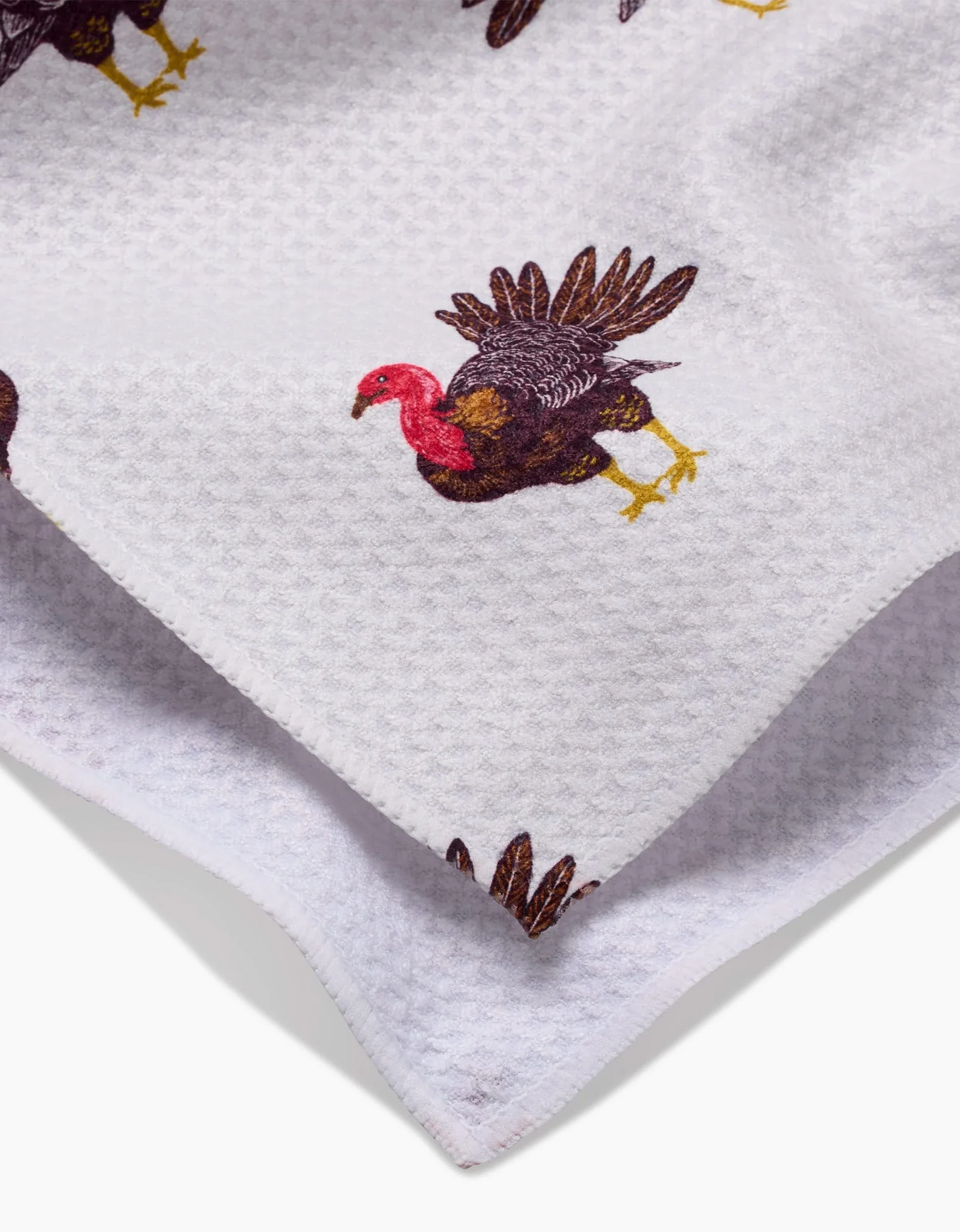 Turkey Trot - Image 2