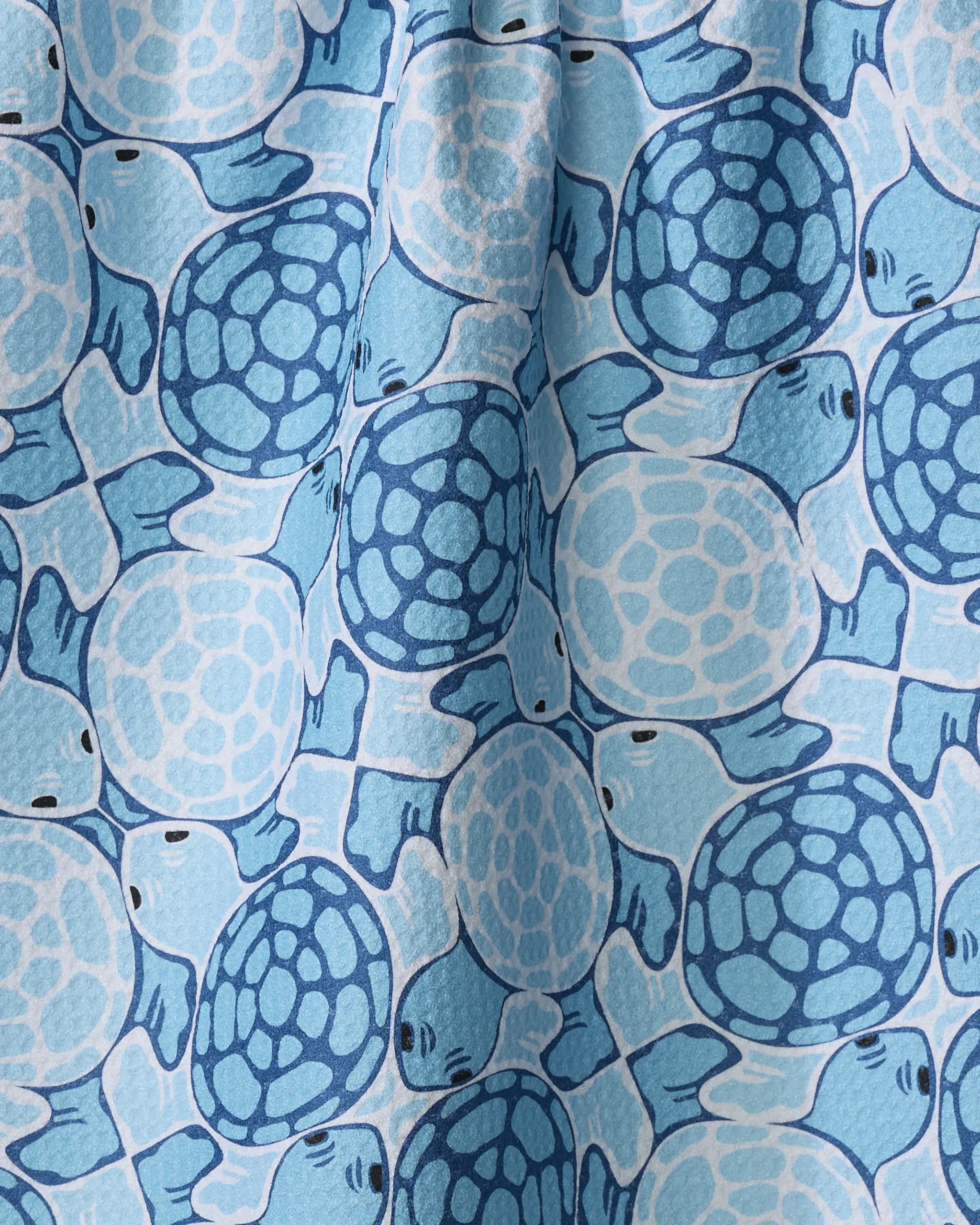 Turtles - Image 2