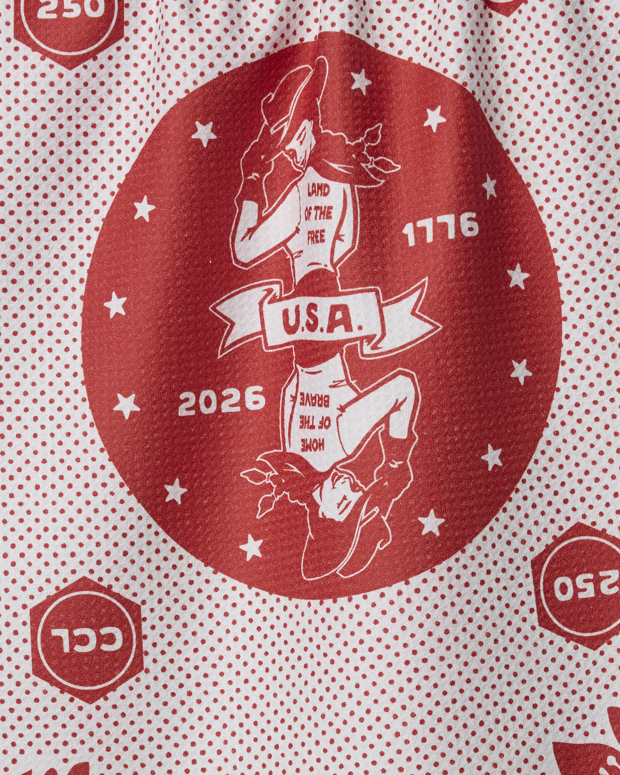 USA Cowgirl - Image 5