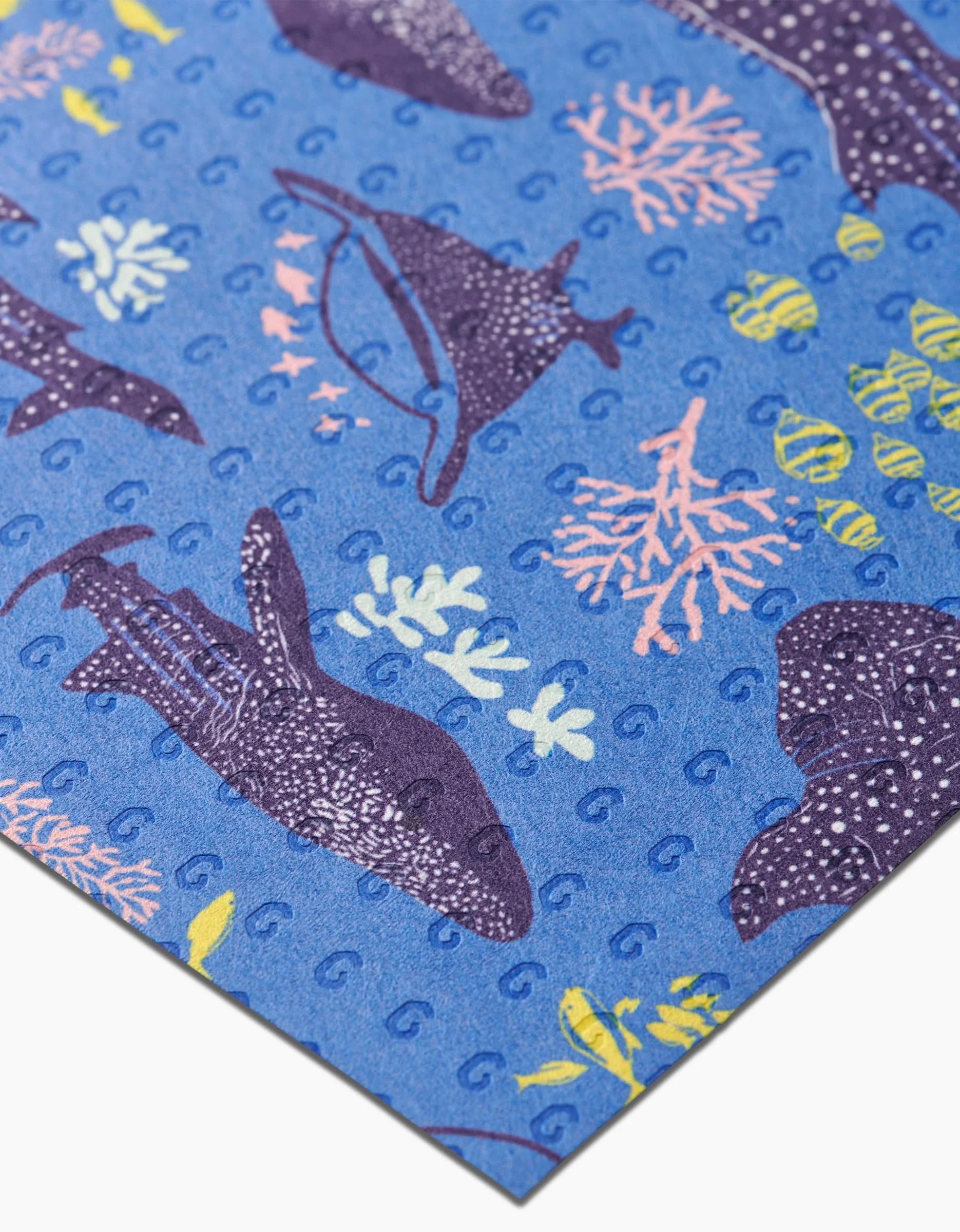 Whale Shark - Image 3