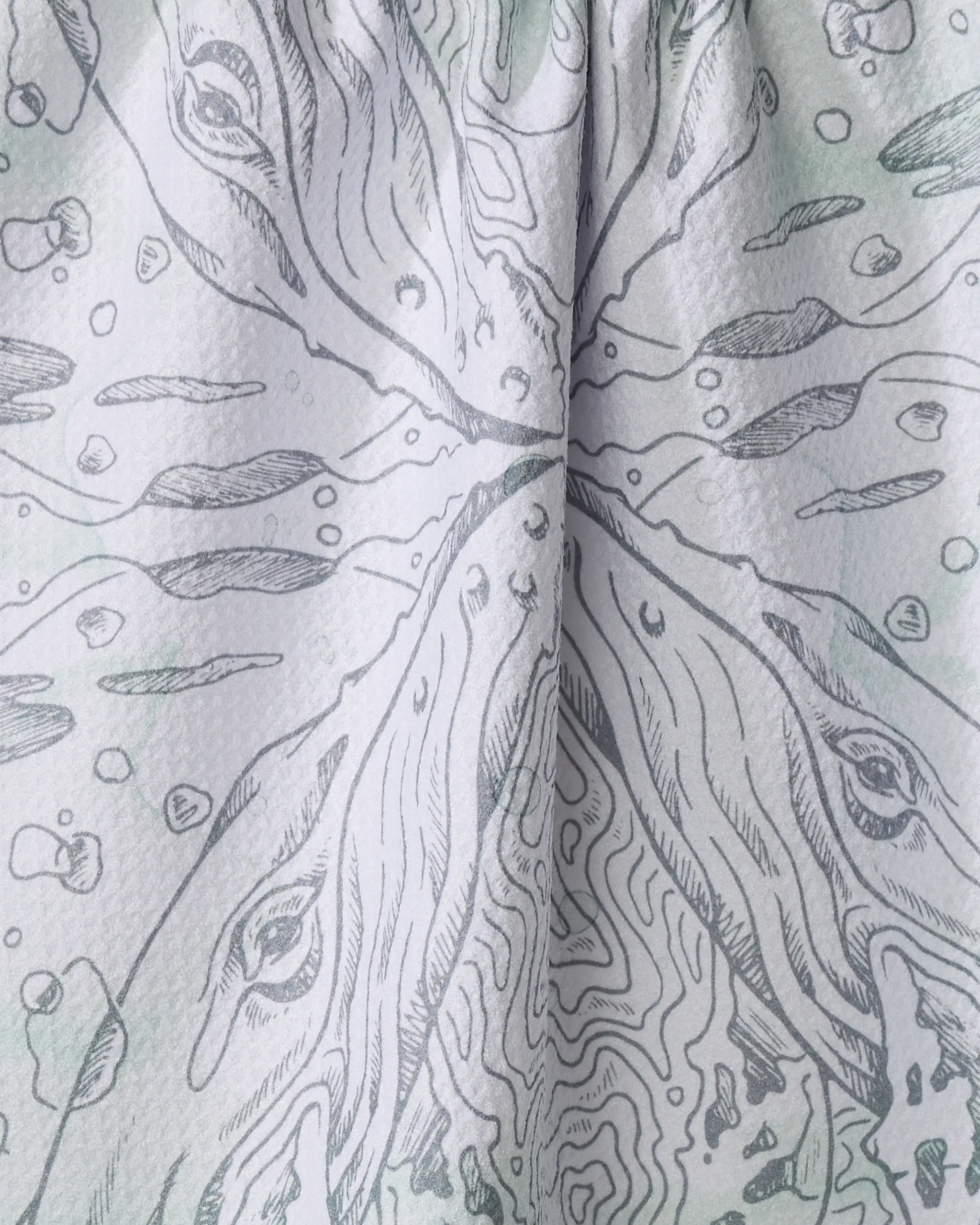 Whale - Image 2