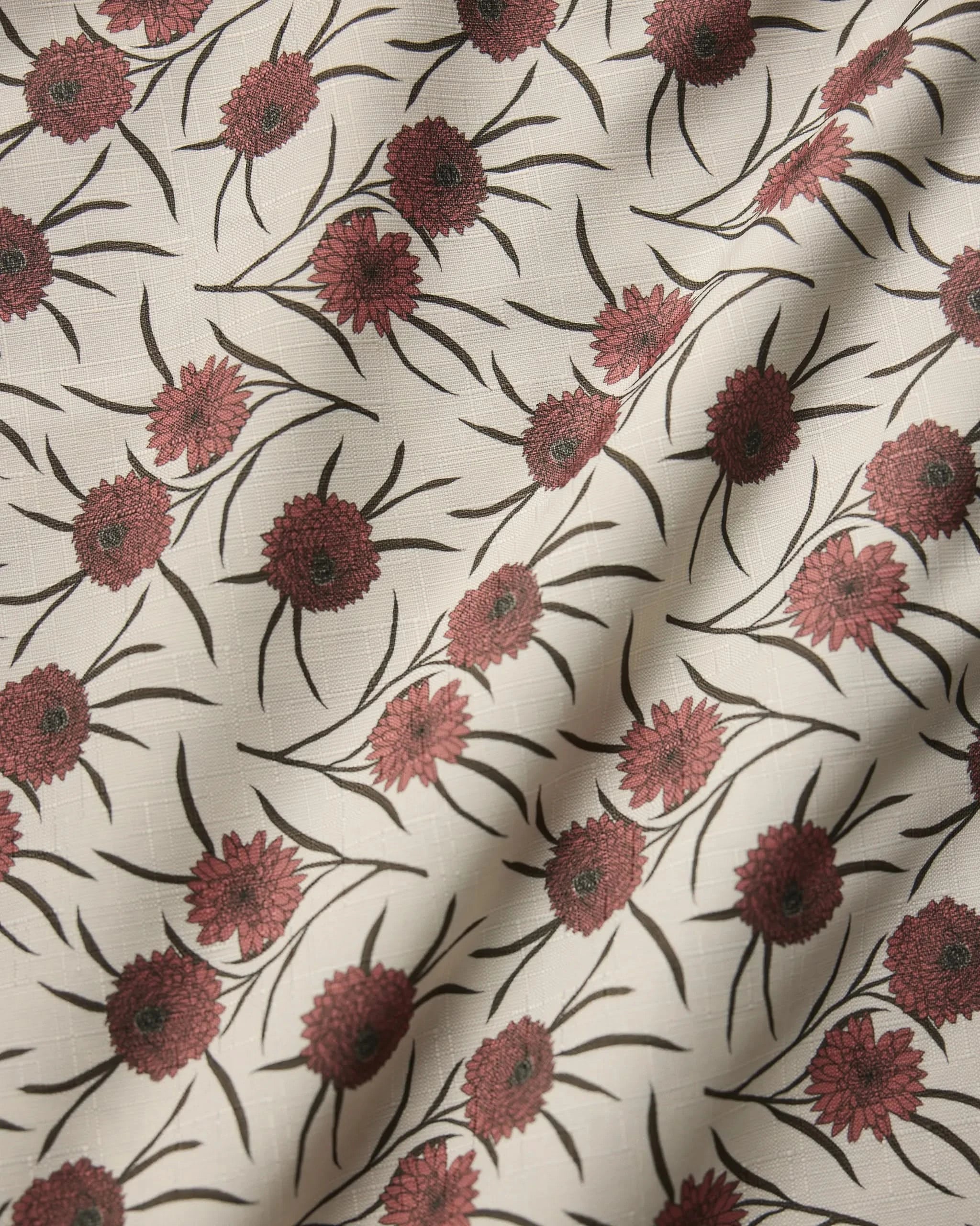 Wild Dahlia - Image 3