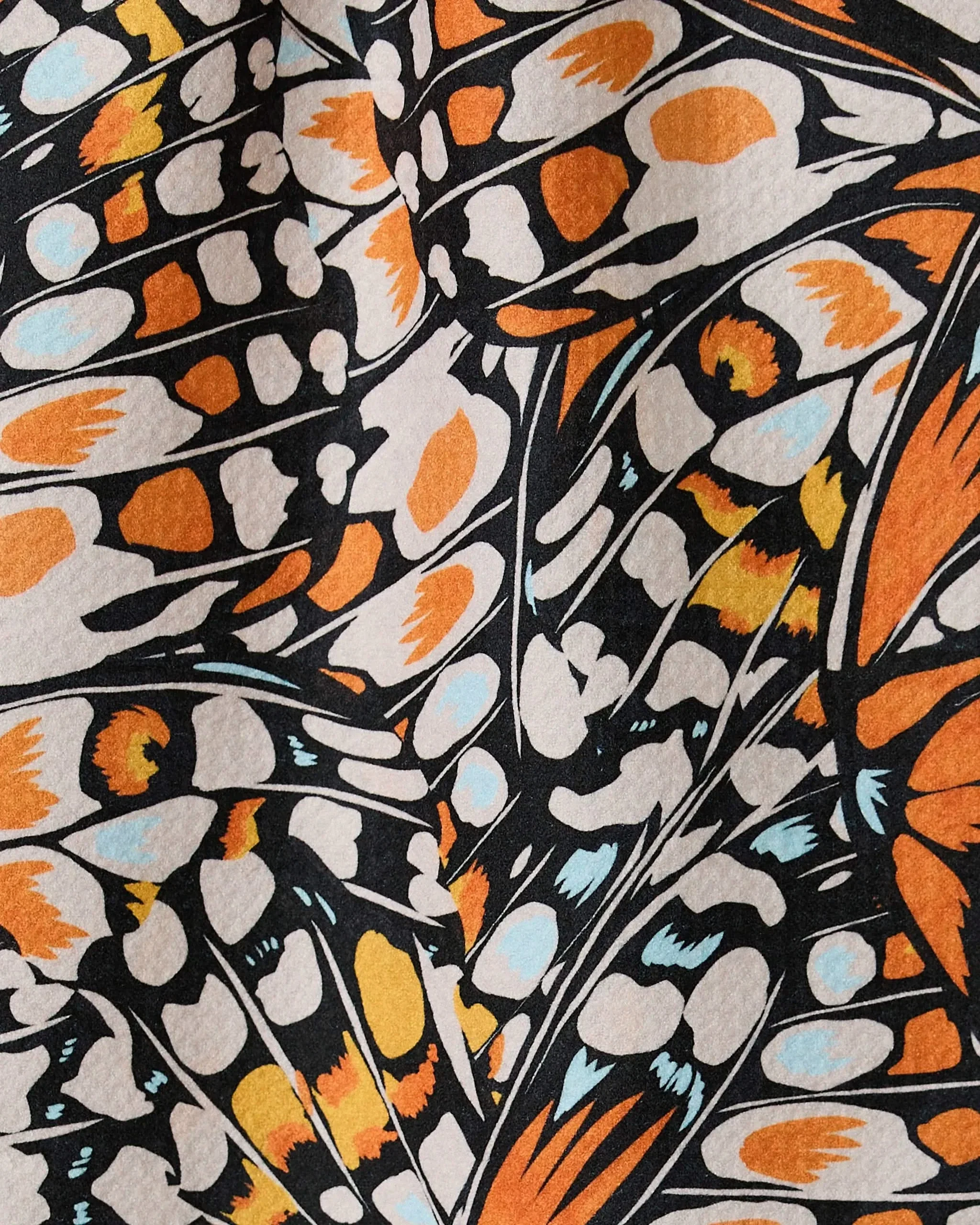 Wings in the Wind - Image 2