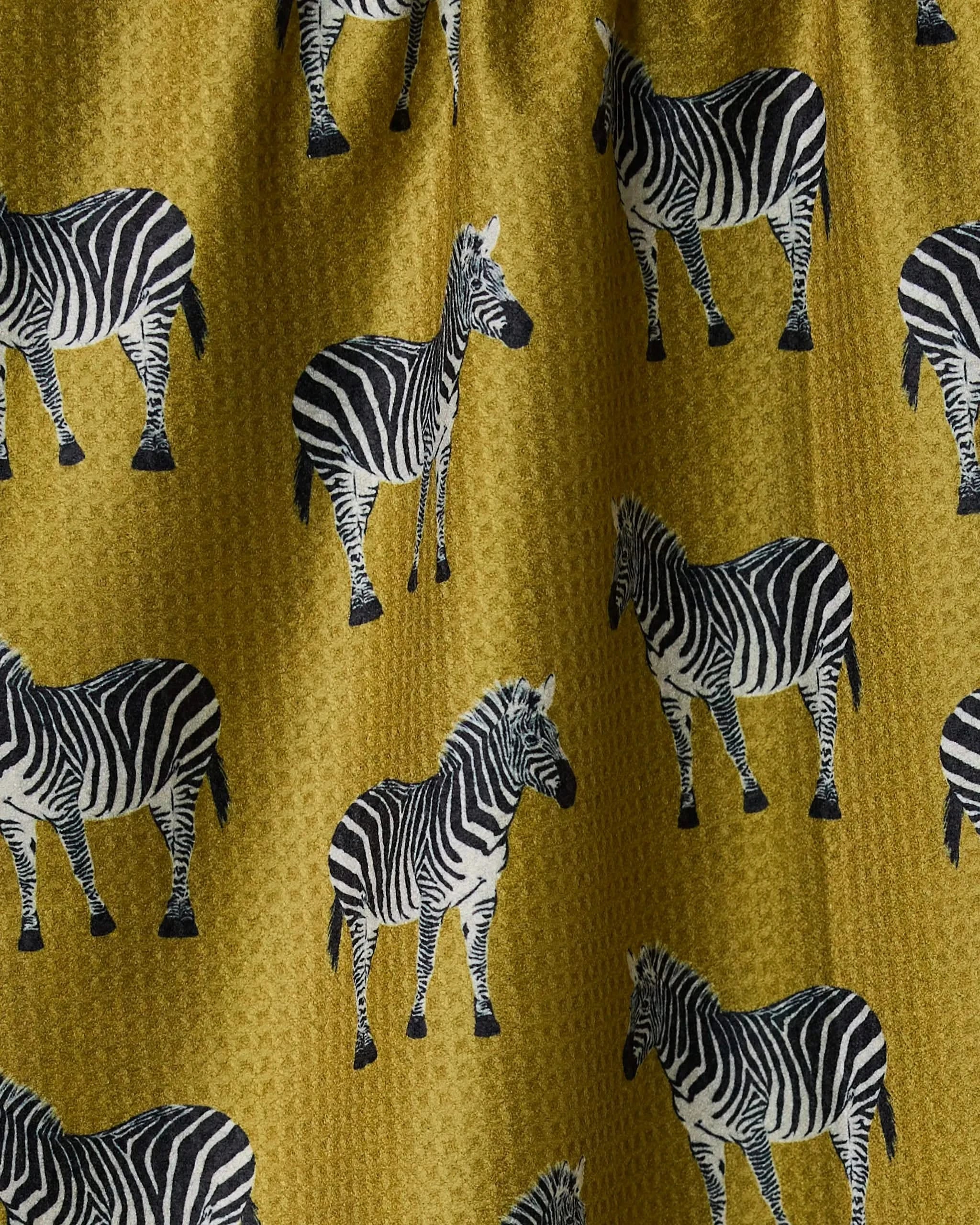 Zebra Way - Image 3
