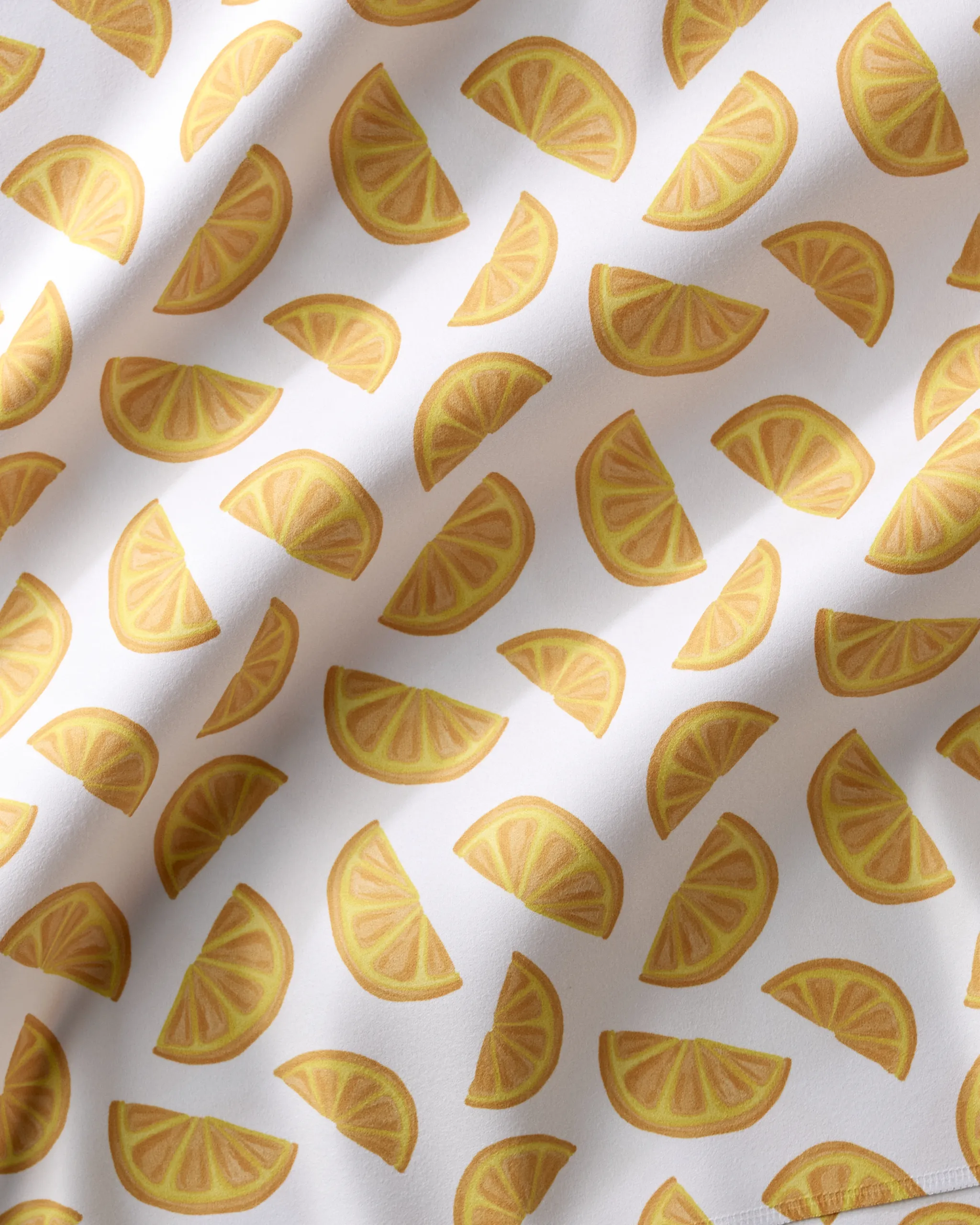 Zesty Slice - Image 3