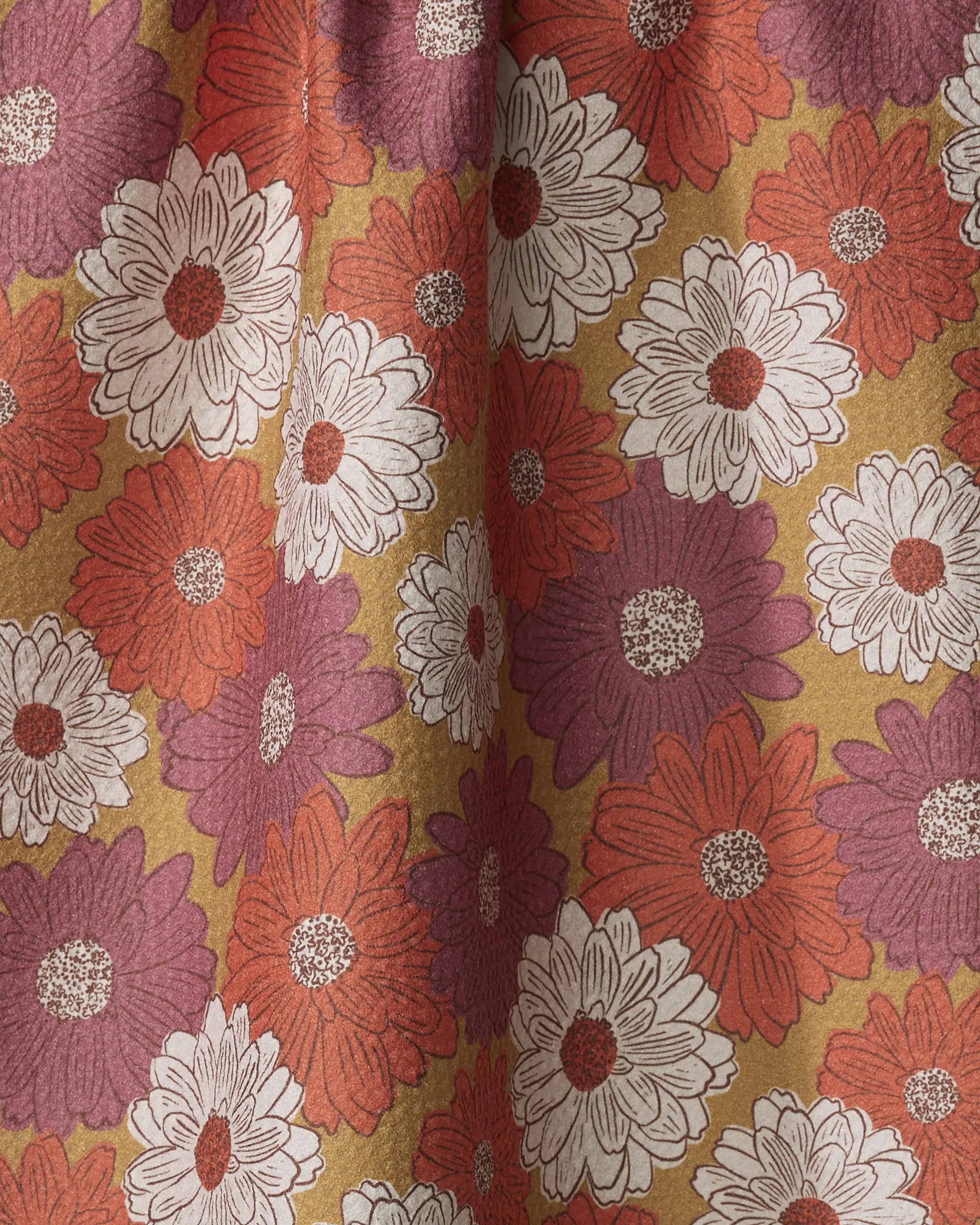 Zinnia Forever - Image 2